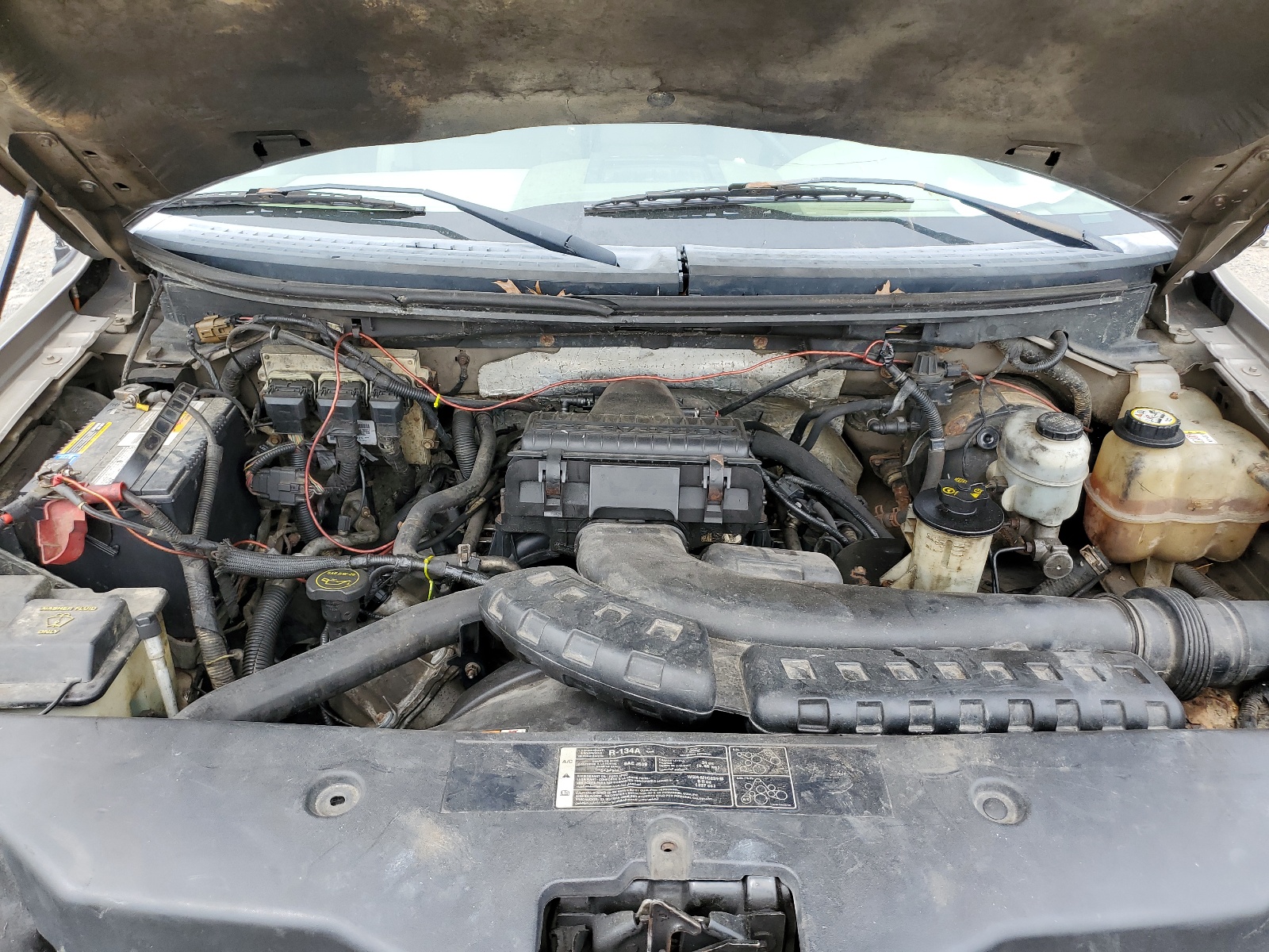 1FTPX14526NB54064 2006 Ford F150