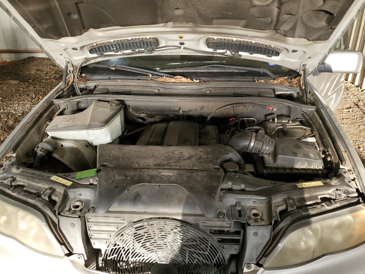 2006 BMW X5 3.0I VIN: 5UXFA135X6LY33458 Lot: 62948454