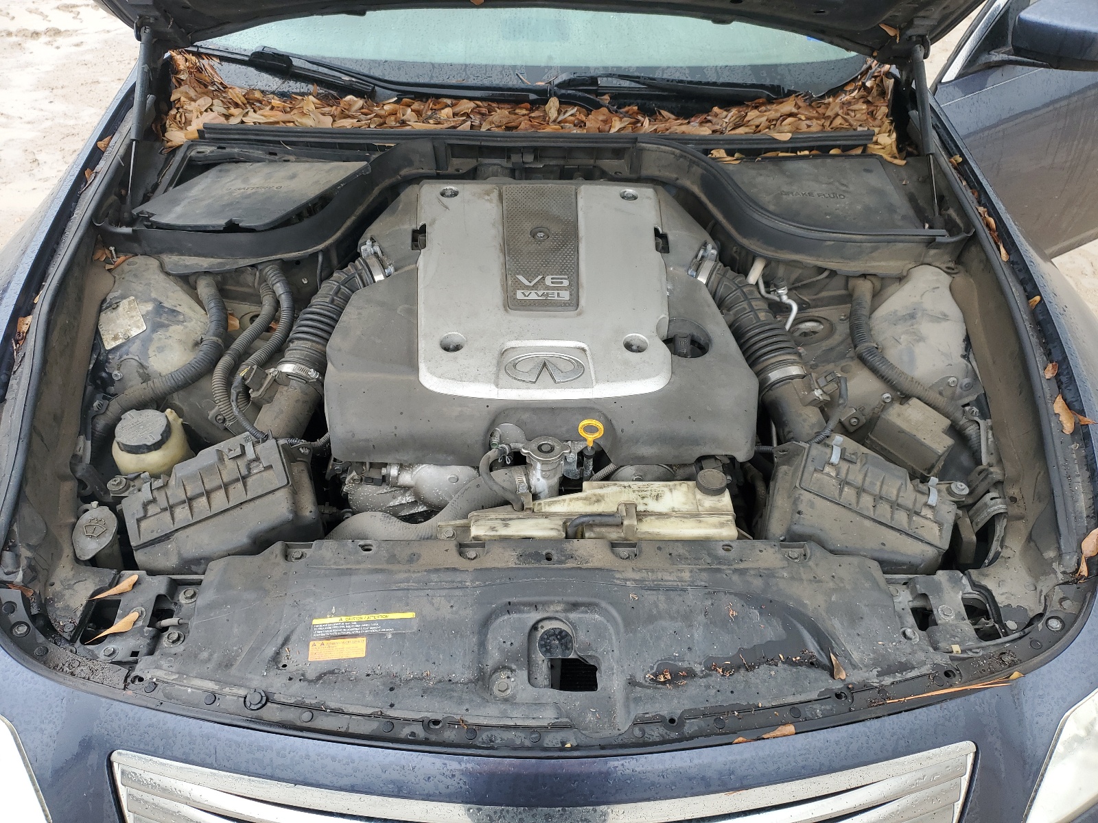 JNKCV61E59M300813 2009 Infiniti G37 Base