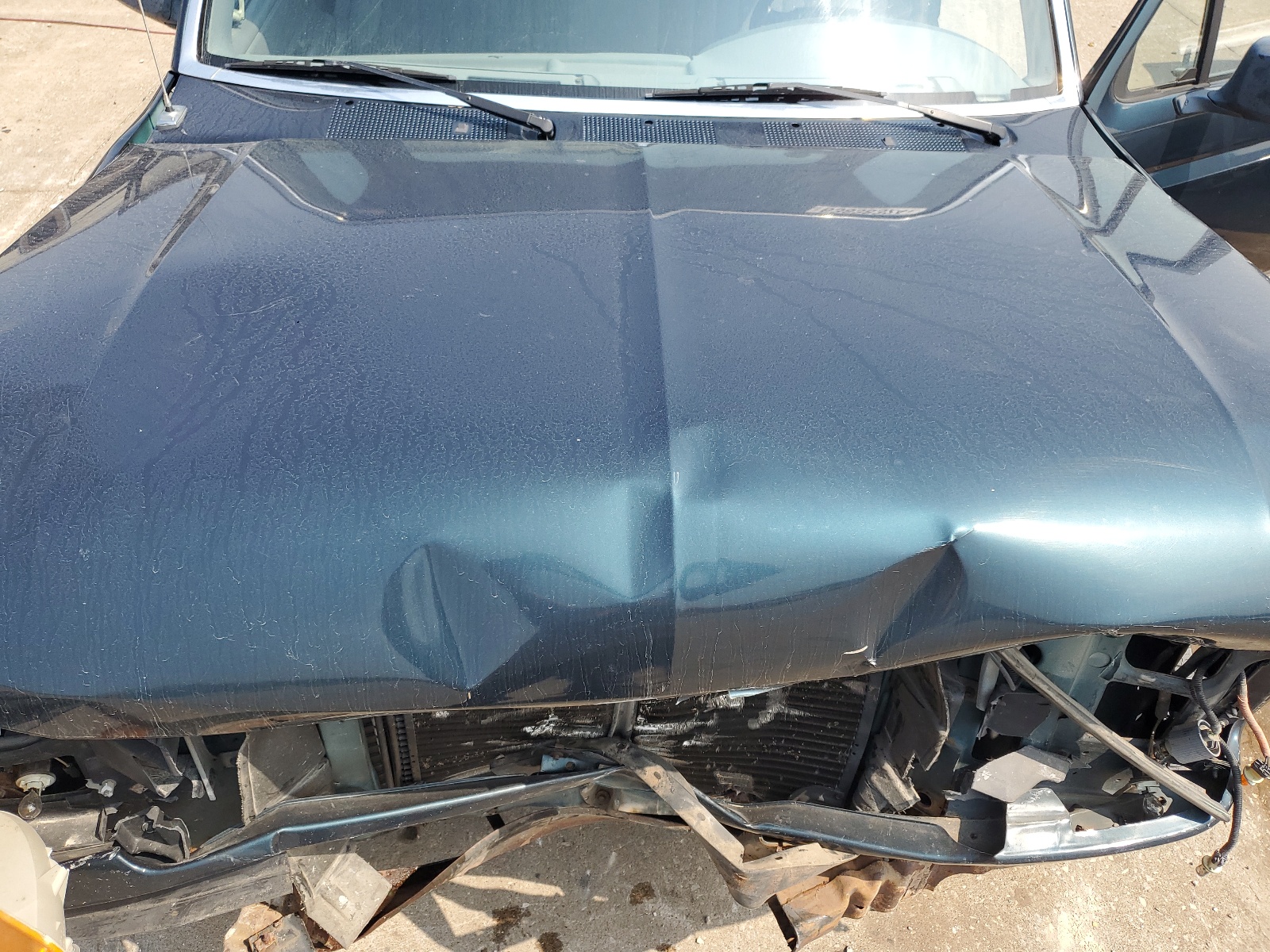 1FTDF15Y6SLB51978 1995 Ford F150