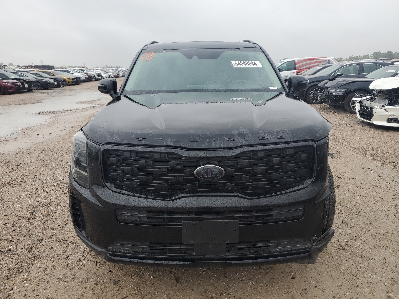 2021 Kia Telluride Ex vin: 5XYP3DHC1MG142224