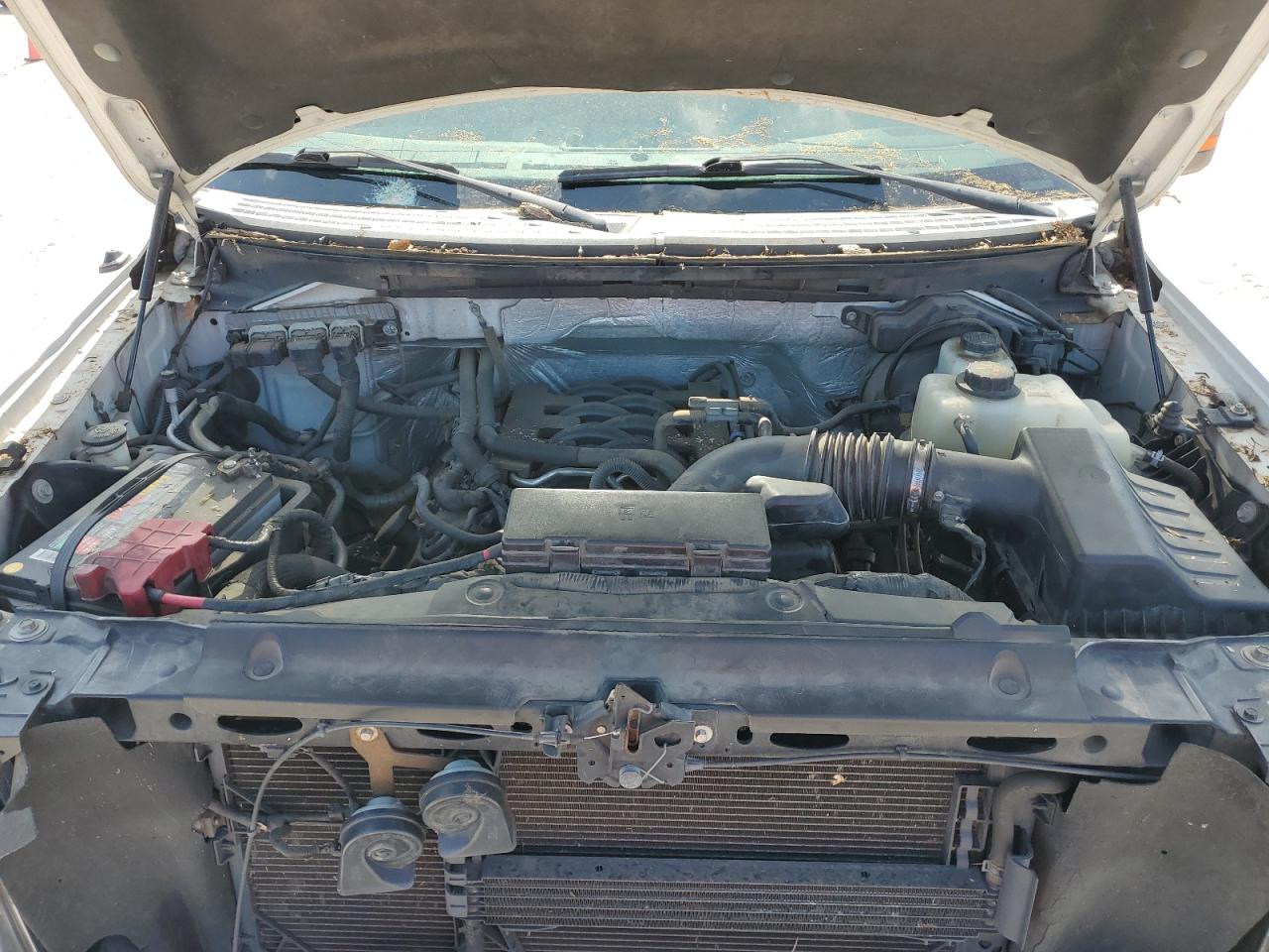 2011 Ford F150 Supercrew VIN: 1FTFW1EF4BFC09771 Lot: 63199314