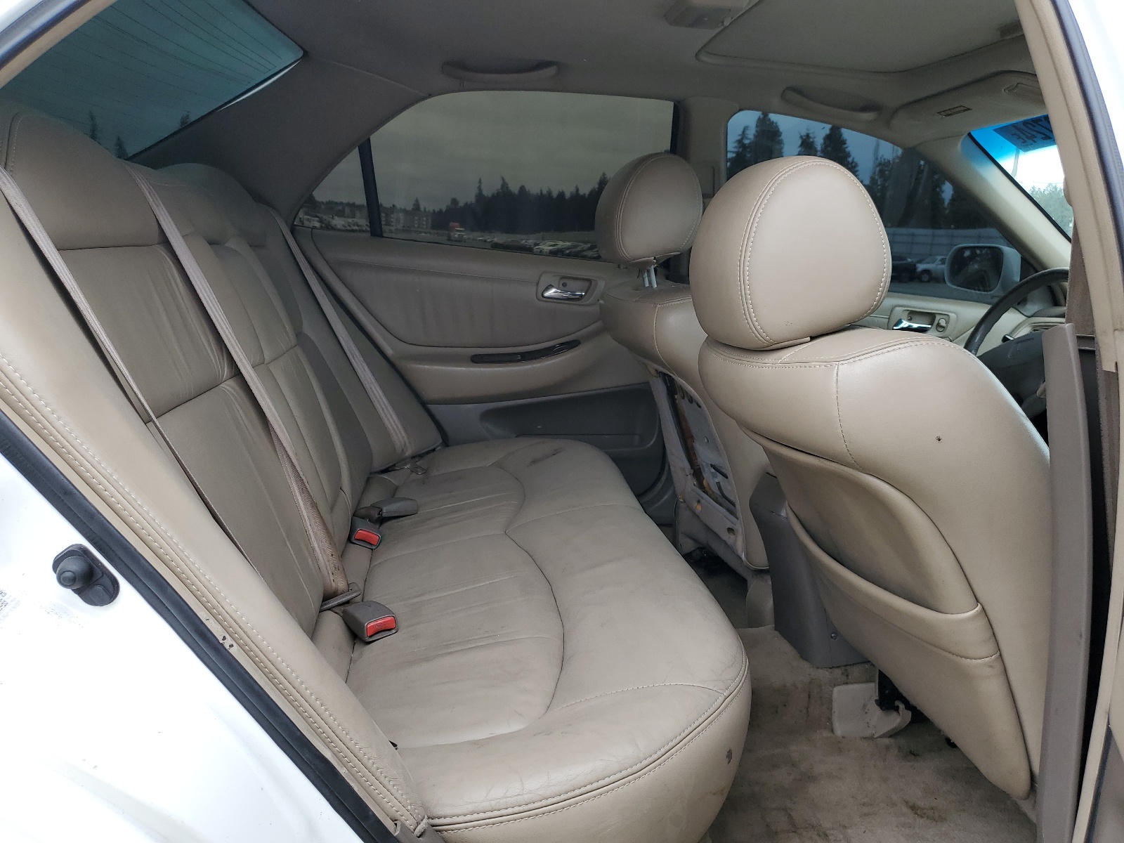 1HGCG1651XA000483 1999 Honda Accord Ex