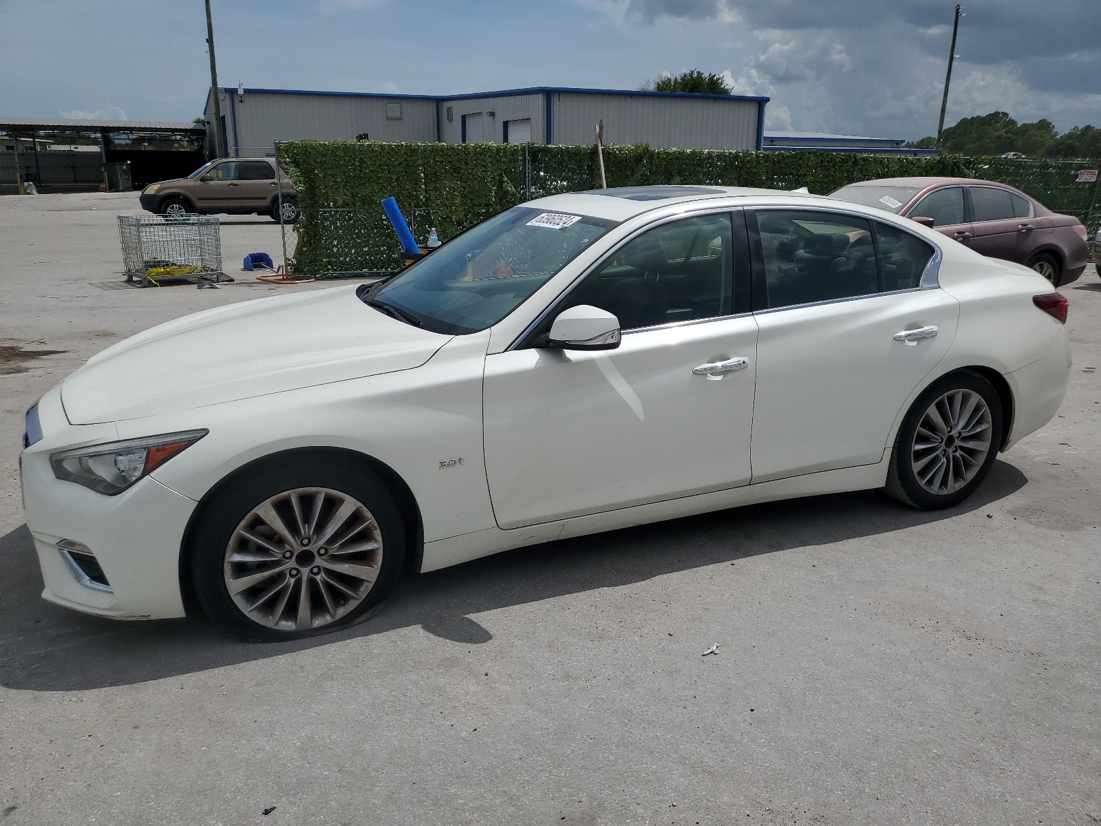 2019 Infiniti Q50 Luxe vin: JN1EV7APXKM510219