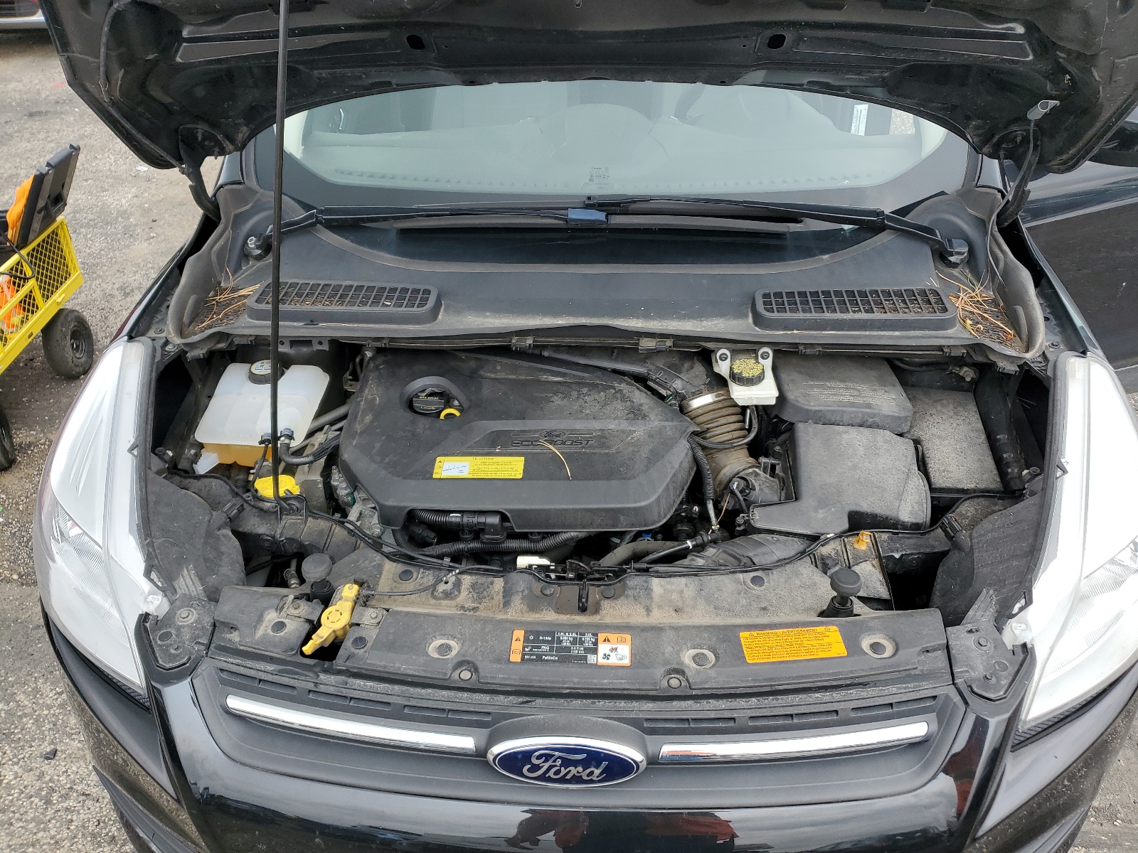 2014 Ford Escape Se vin: 1FMCU0GX3EUC38828