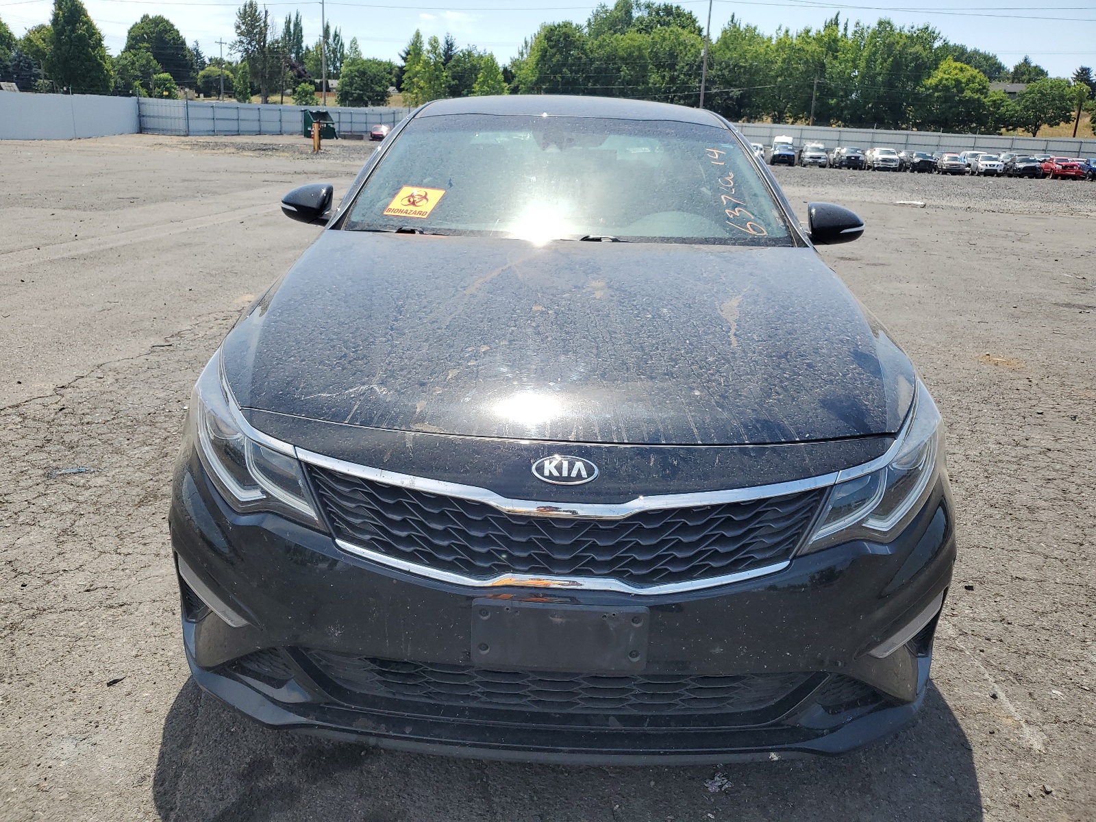 5XXGT4L31KG346031 2019 Kia Optima Lx