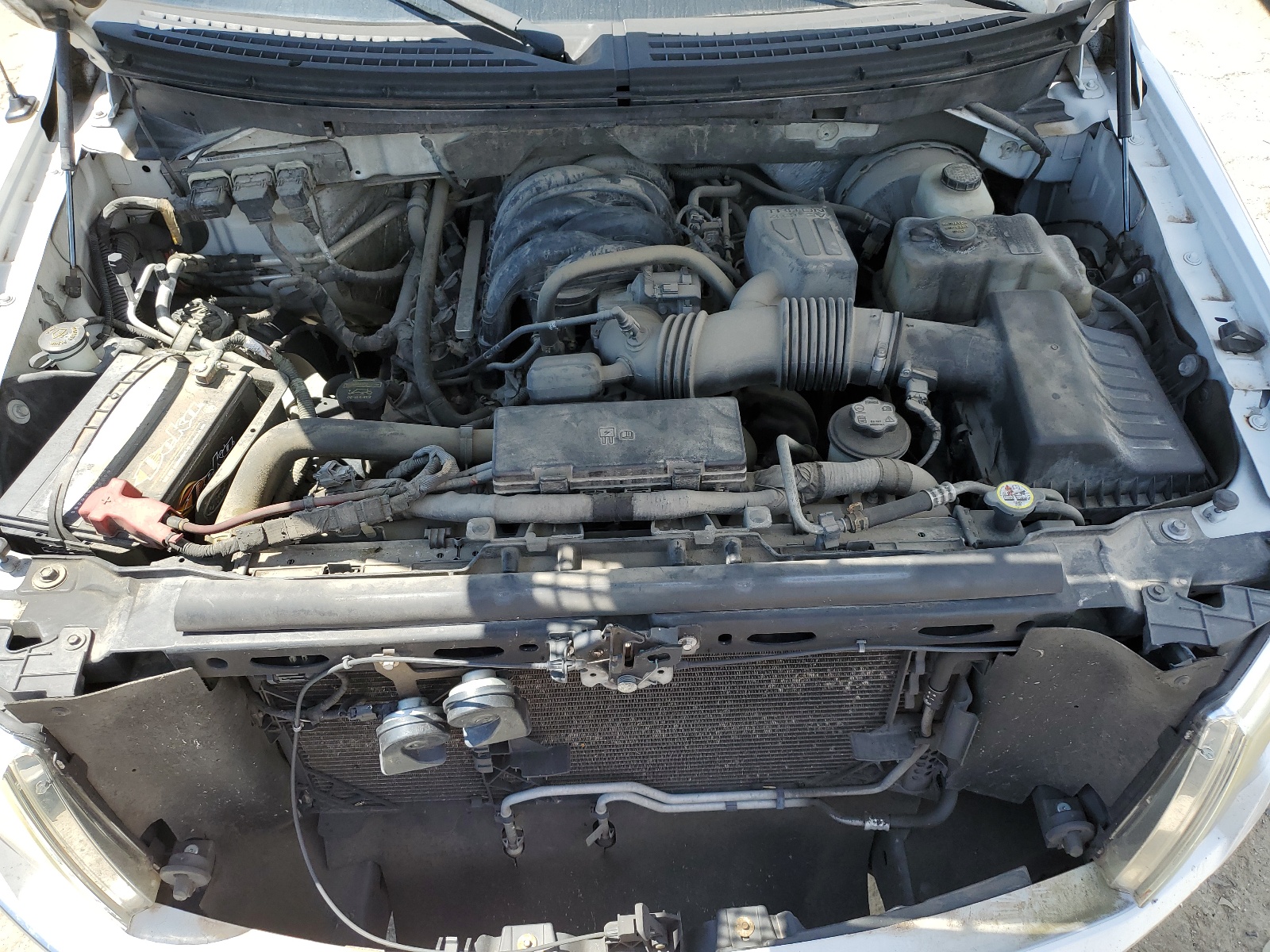 1FTEX1C88AFA16955 2010 Ford F150 Super Cab