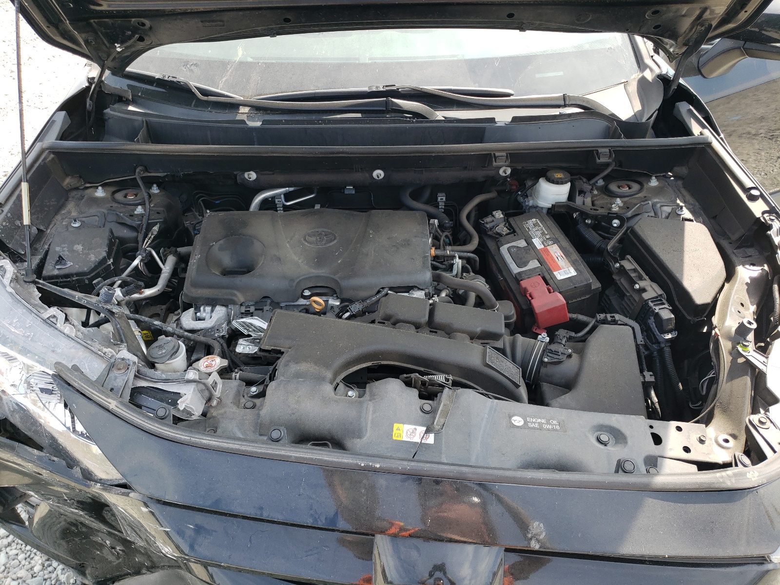 2T3P1RFV5LC083400 2020 Toyota Rav4 Xle