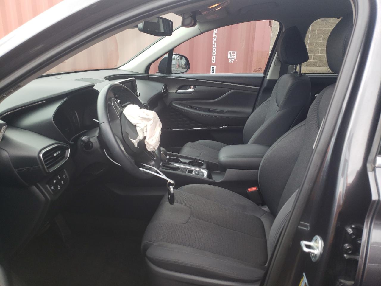 2020 Hyundai Santa Fe Sel VIN: 5NMS3CAD5LH279758 Lot: 64397414