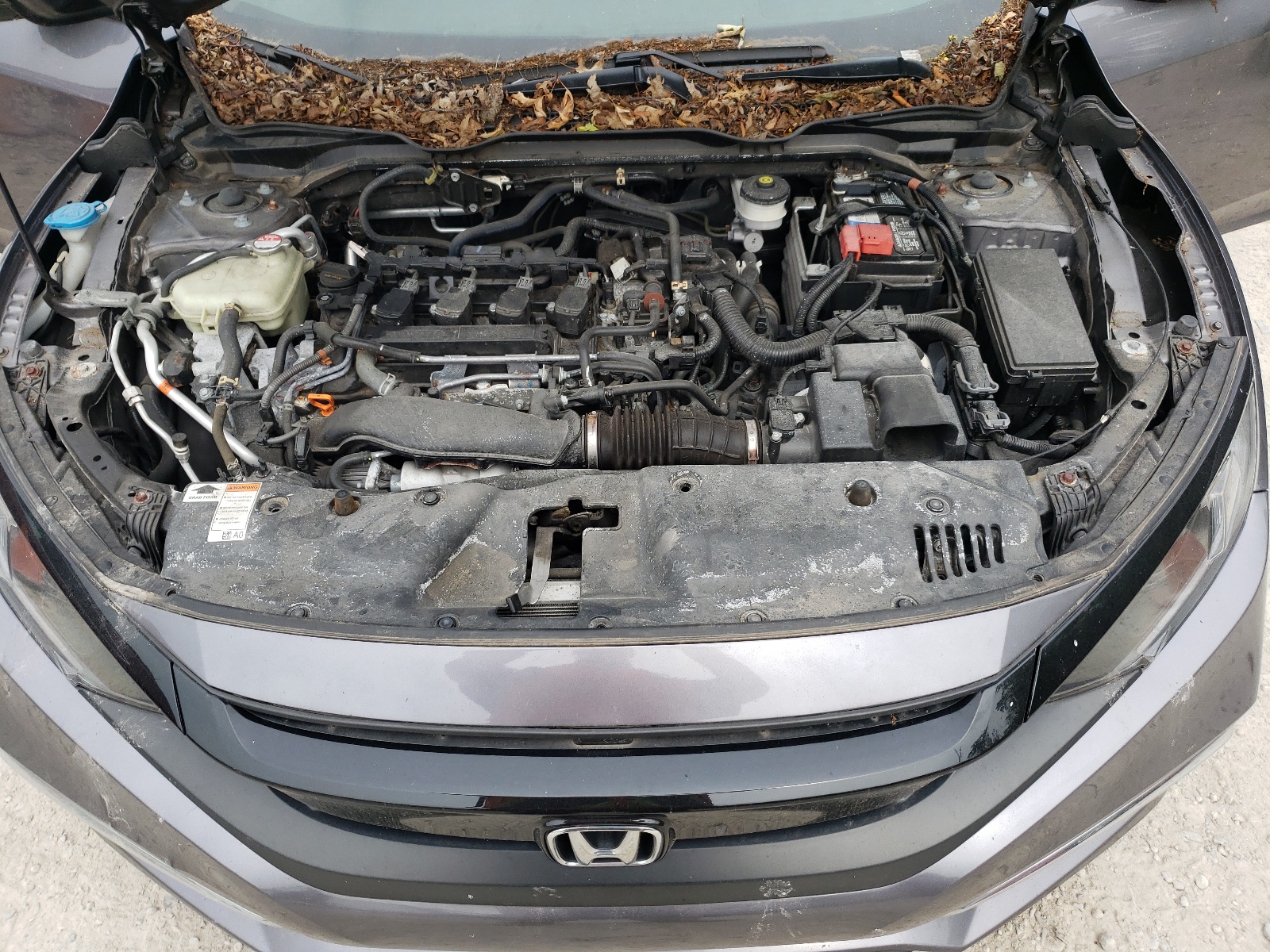 2021 Honda Civic Ex vin: 19XFC1F30ME010291