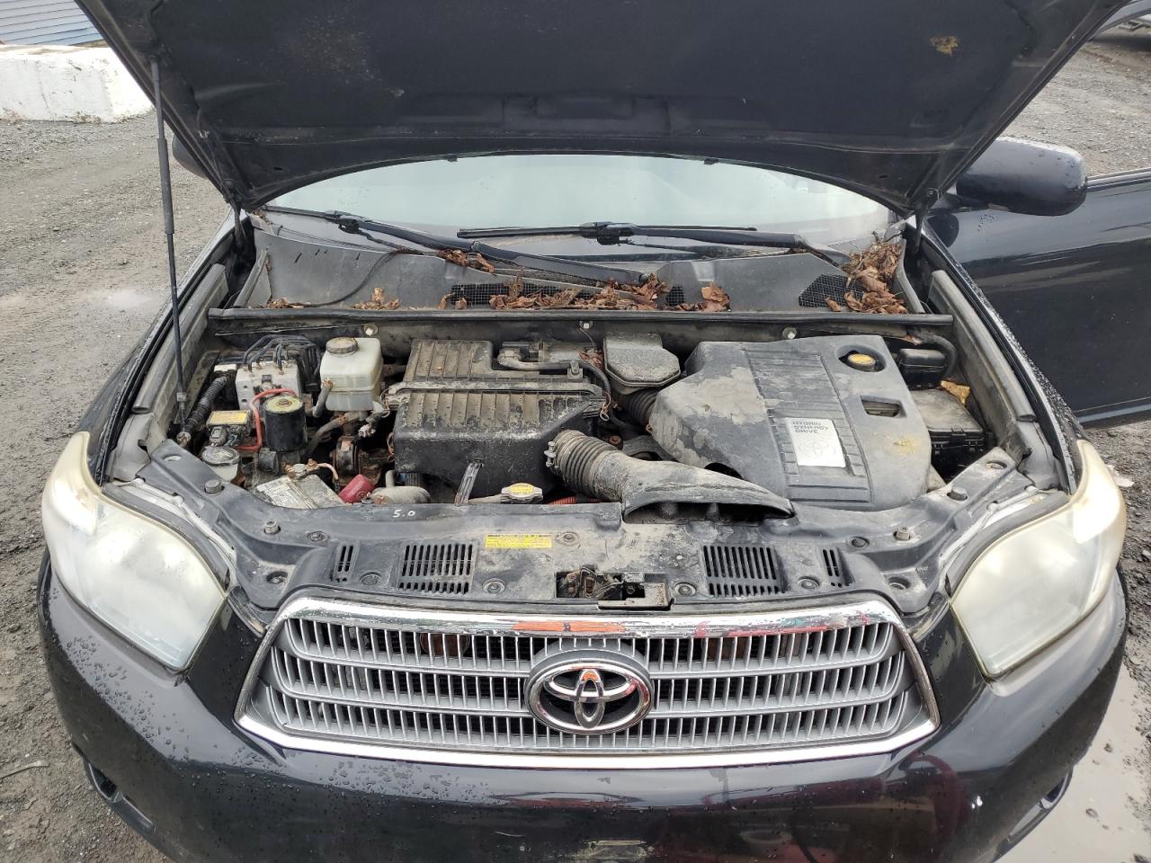 2008 Toyota Highlander Hybrid Limited VIN: JTEEW44A382004148 Lot: 64412814