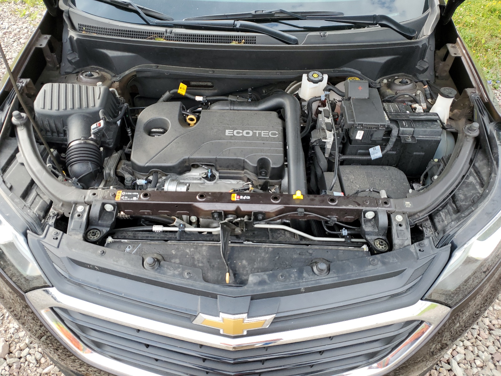 2GNAXTEV6L6234703 2020 Chevrolet Equinox Lt