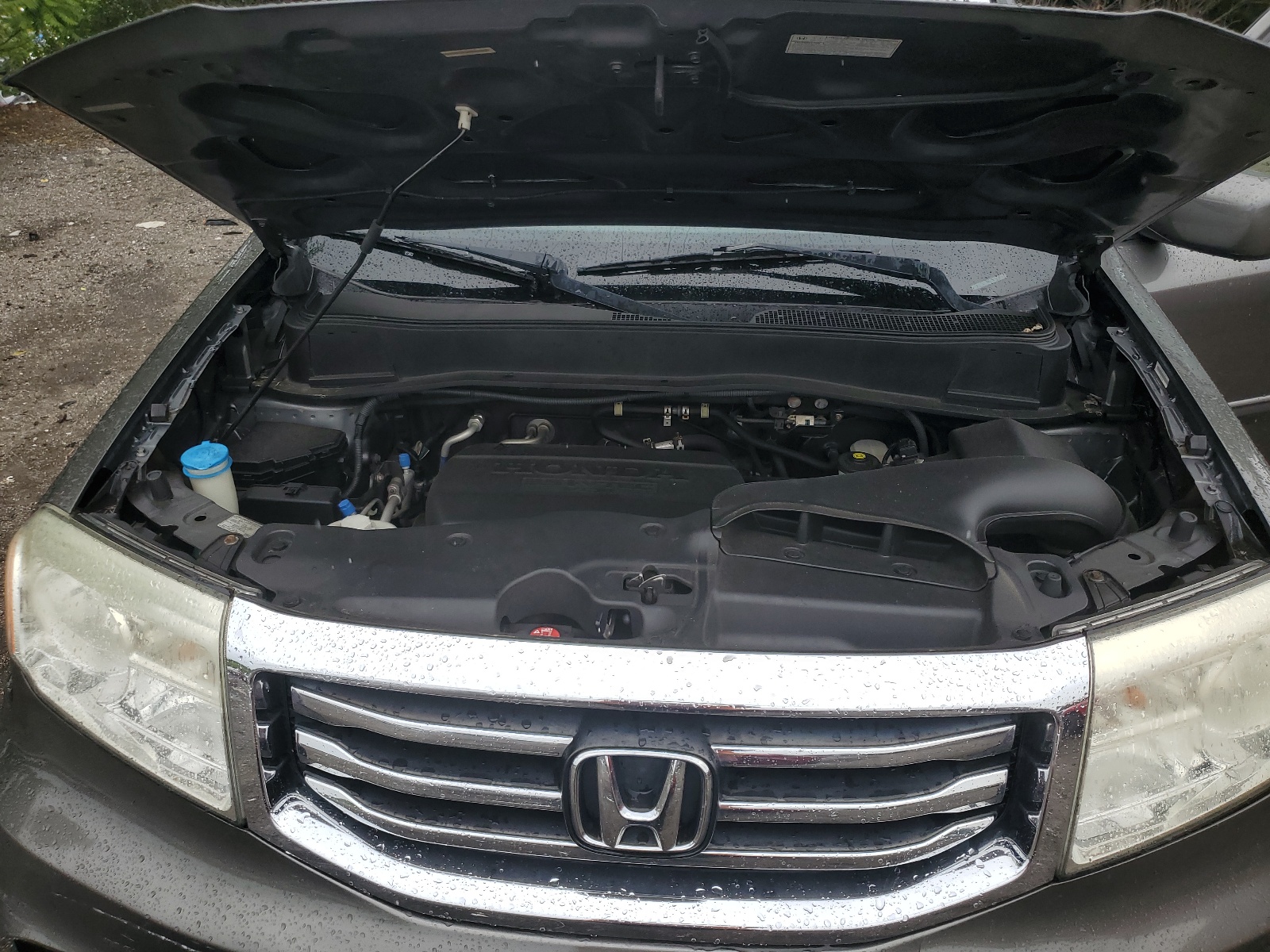 5FNYF4H66CB040090 2012 Honda Pilot Exl