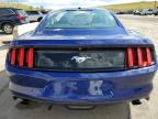 2016 Ford Mustang  for Sale in Littleton, CO - Hail