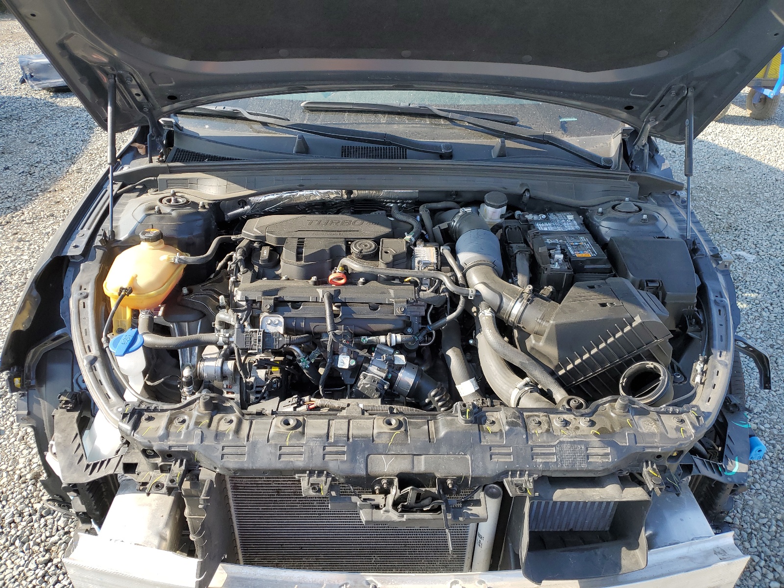 5XXG14J23PG209339 2023 Kia K5 Lxs