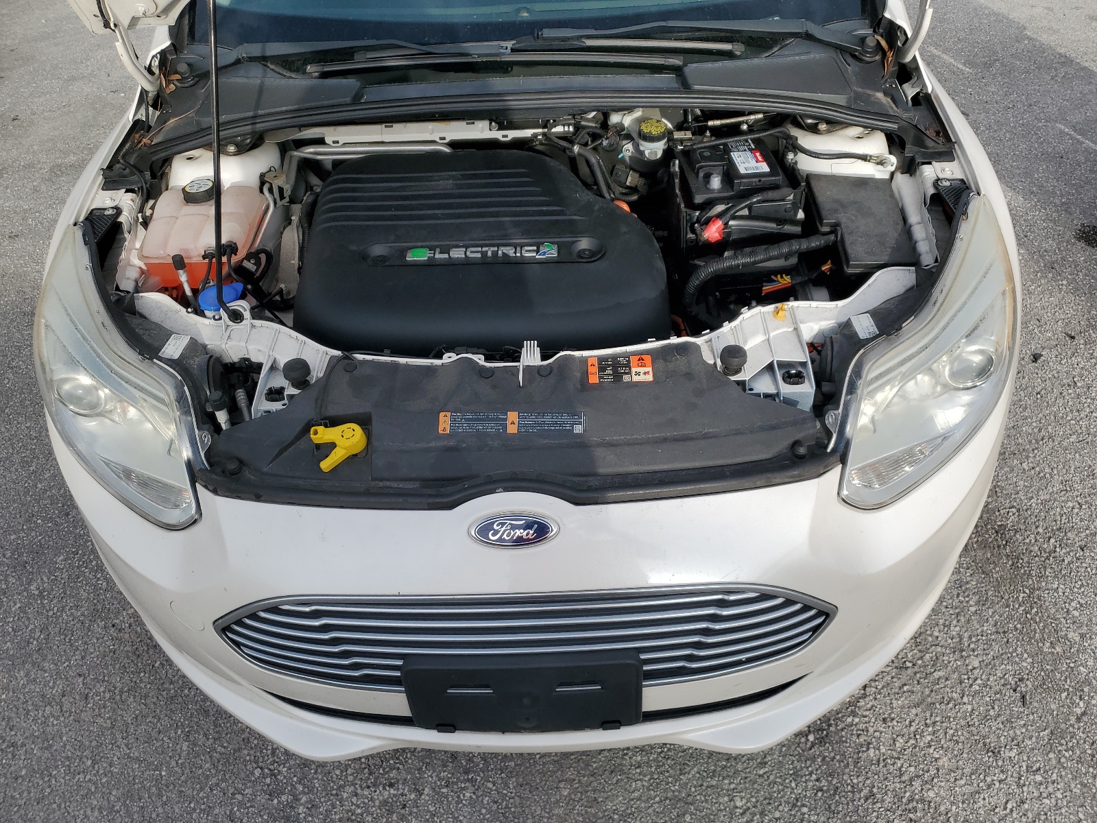 1FADP3R43DL196773 2013 Ford Focus Bev