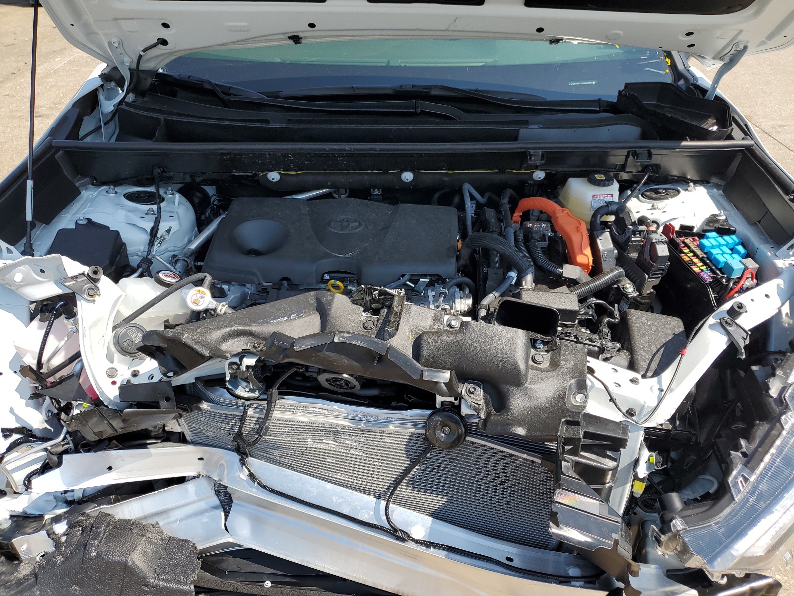 JTME6RFV7RD554668 2024 Toyota Rav4 Xse