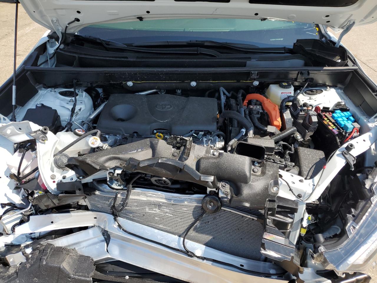 2024 Toyota Rav4 Xse VIN: JTME6RFV7RD554668 Lot: 63489184