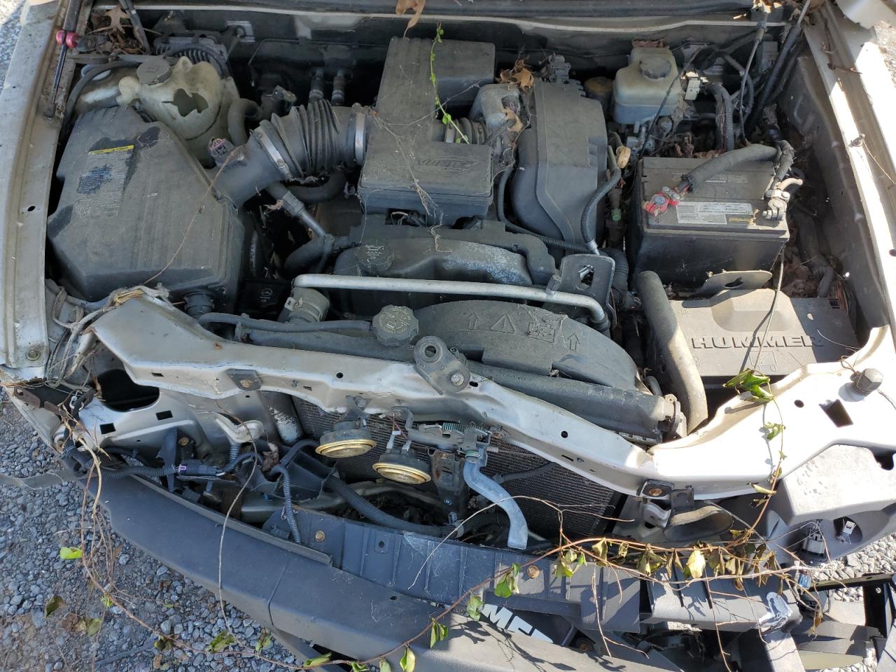 2007 Hummer H3 VIN: 5GTDN13E578125158 Lot: 65489484