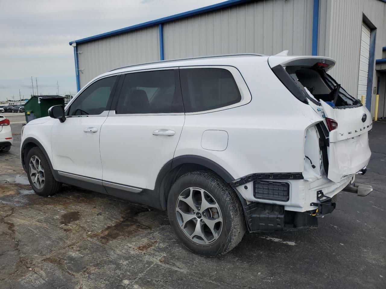 2021 Kia Telluride Ex VIN: 5XYP34HC1MG151182 Lot: 61161324