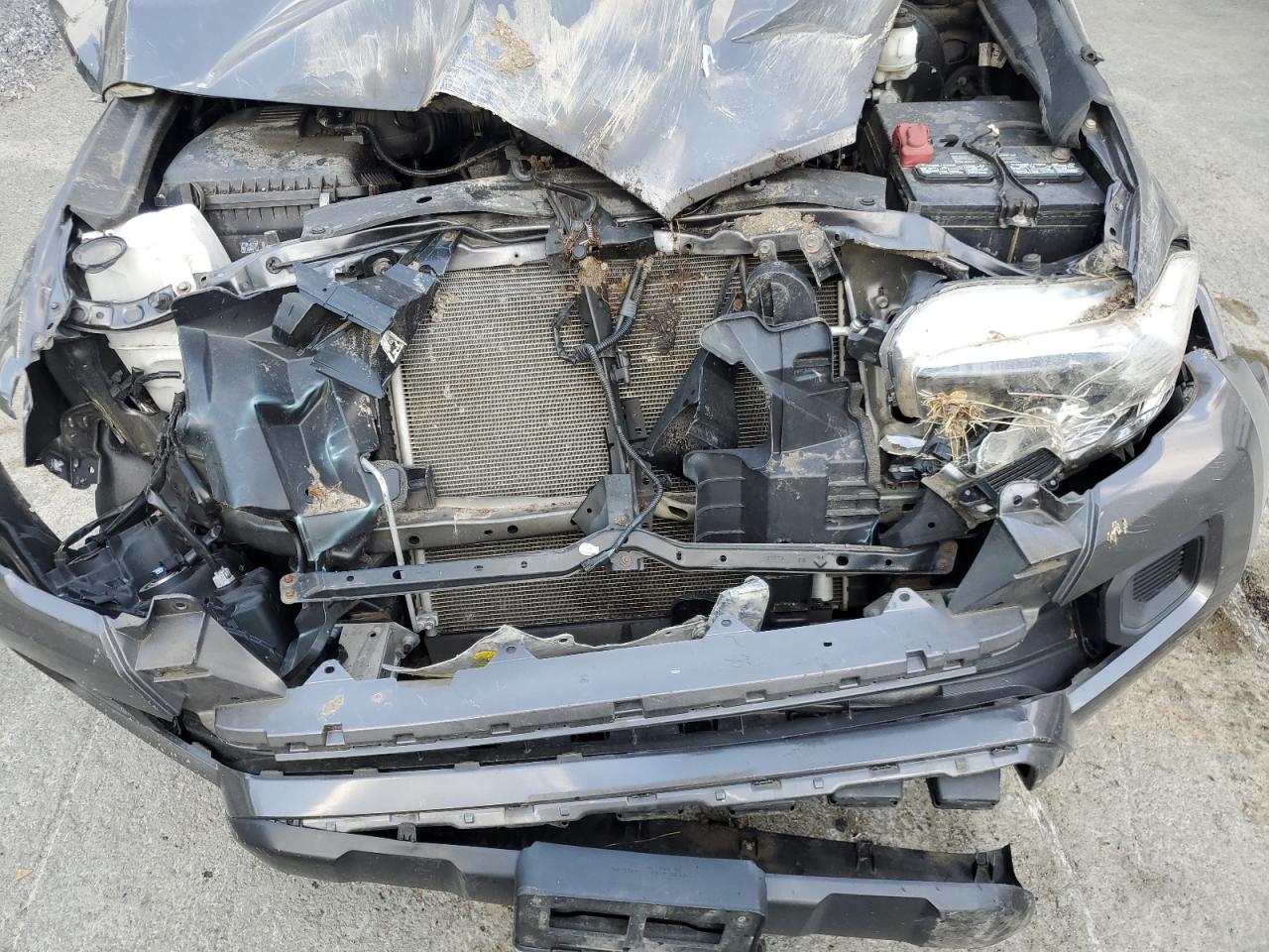 2019 Toyota Tacoma Access Cab VIN: 5TFSX5EN1KX064368 Lot: 62109234