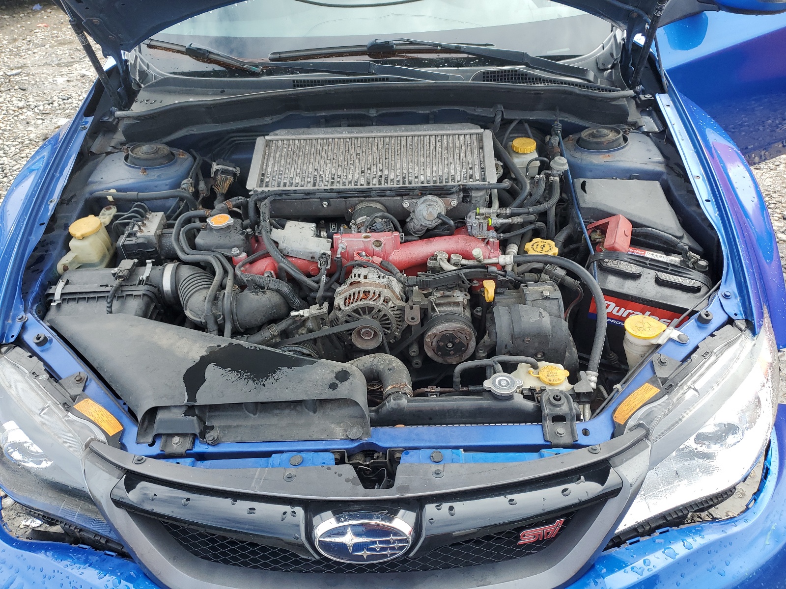 JF1GV8J60BL523463 2011 Subaru Impreza Wrx Sti