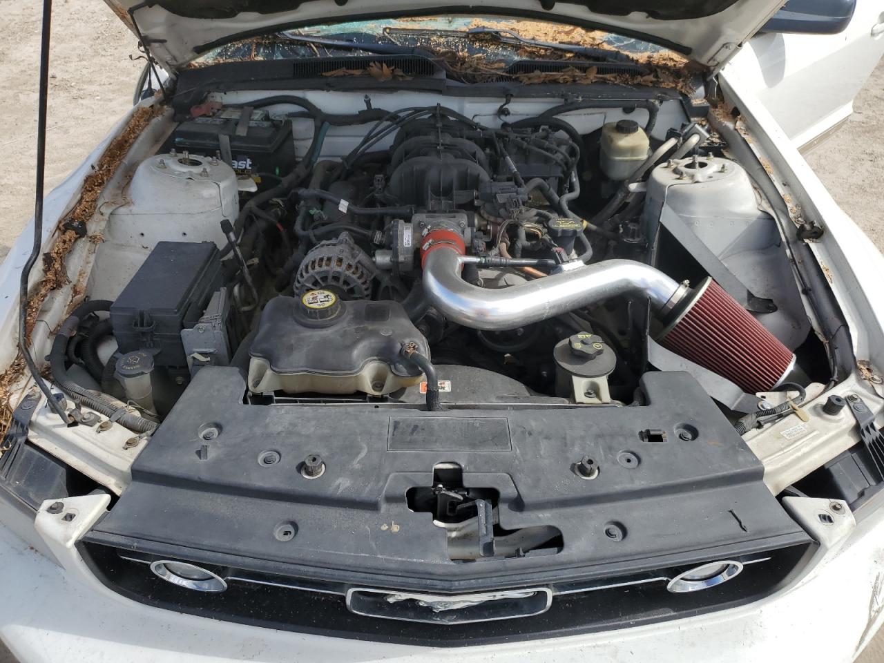 2007 Ford Mustang VIN: 1ZVFT80N875320401 Lot: 64087224