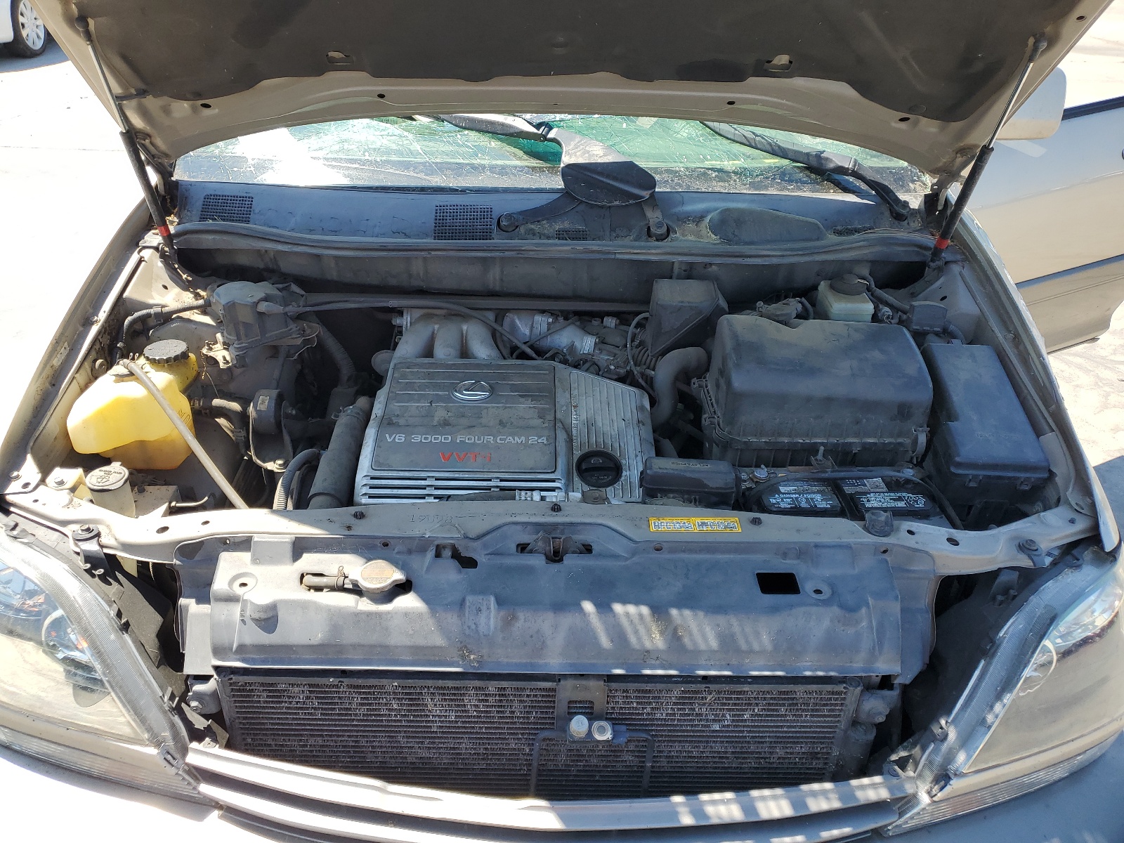 JT6HF10U1X0051776 1999 Lexus Rx 300