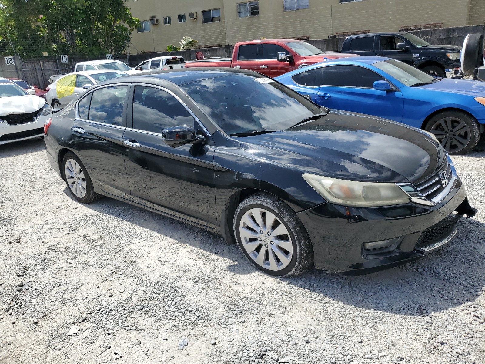 2014 Honda Accord Exl vin: 1HGCR2F81EA099460