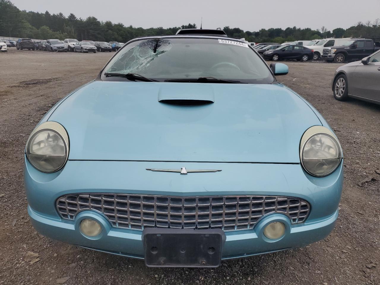 2002 Ford Thunderbird VIN: 1FAHP60AX2Y124765 Lot: 63727244