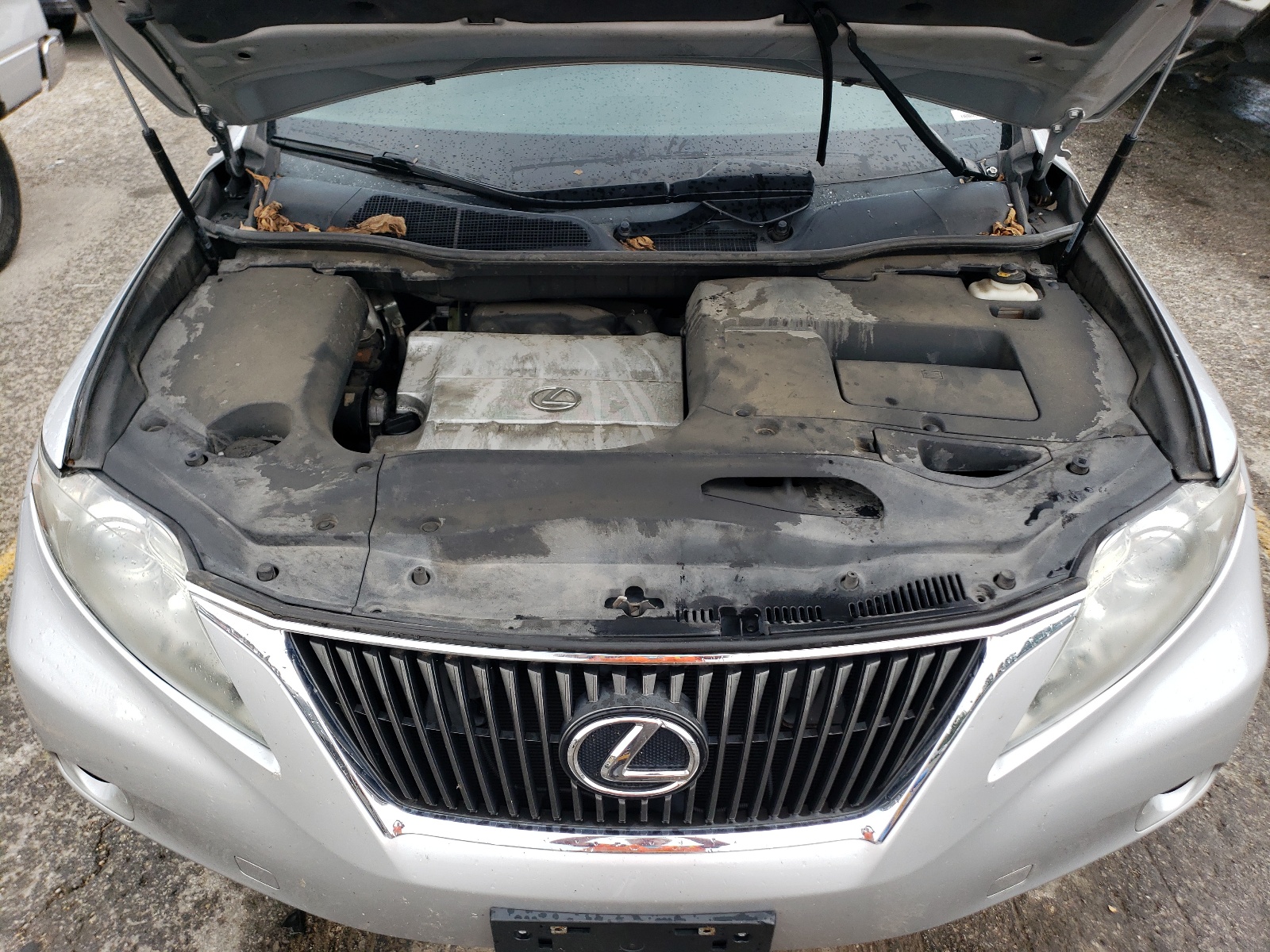 2T2BK1BA7AC007500 2010 Lexus Rx 350