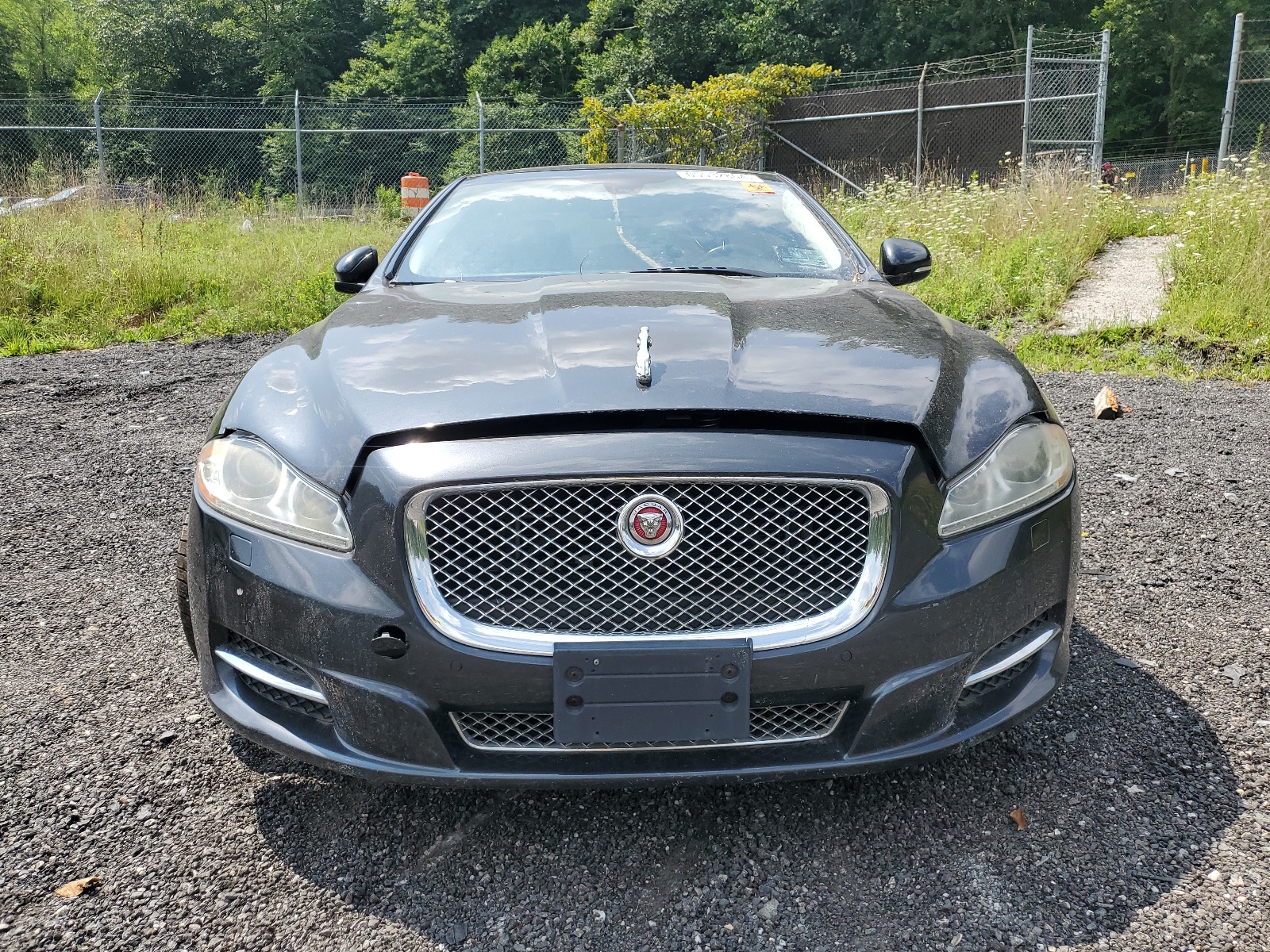 2015 Jaguar Xjl Portfolio vin: SAJWJ2GD2F8V82285