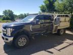 2018 Ford F350 Super Duty იყიდება Ham Lake-ში, MN - Side