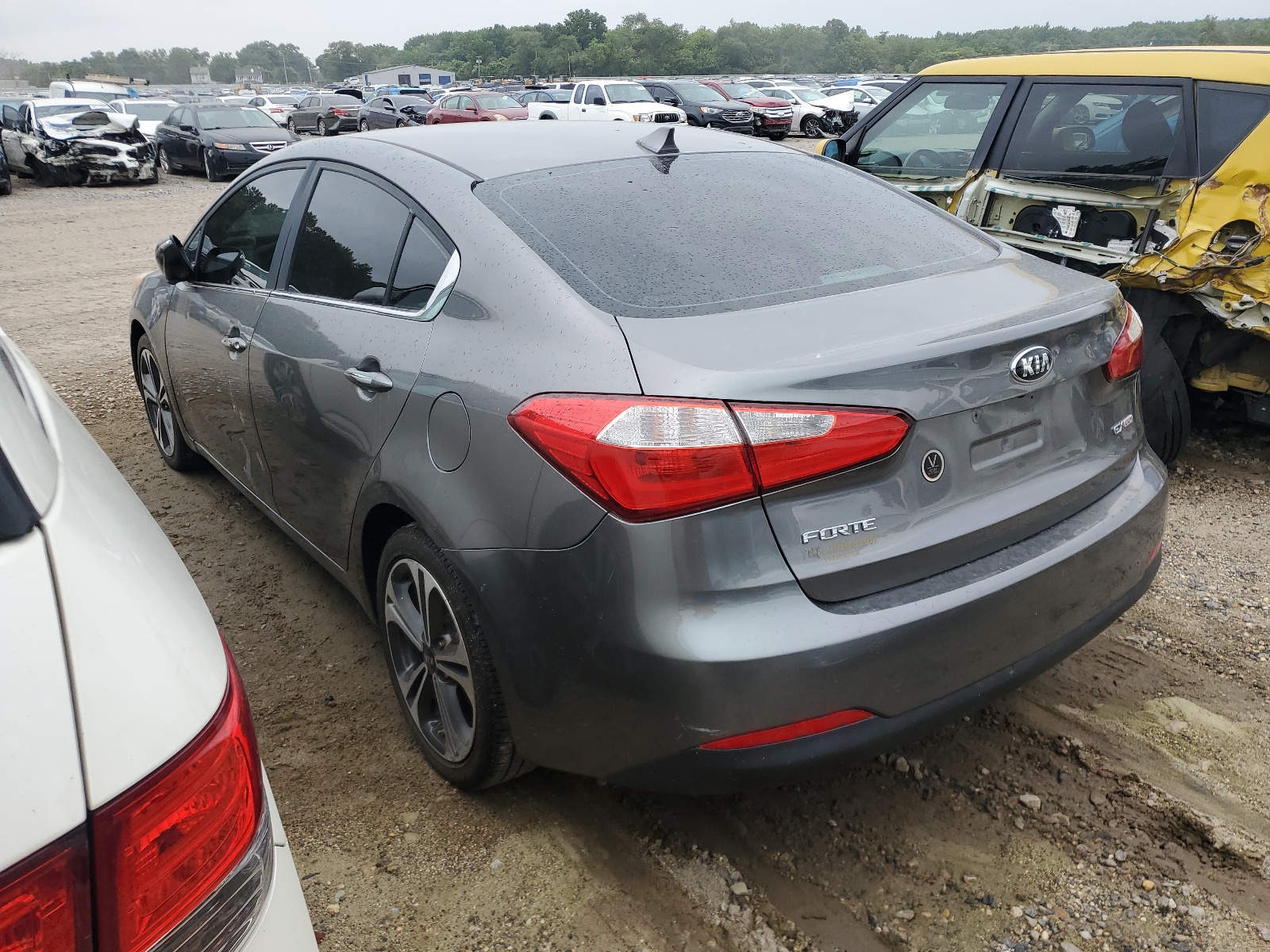 2014 Kia Forte Ex vin: KNAFX4A84E5155577