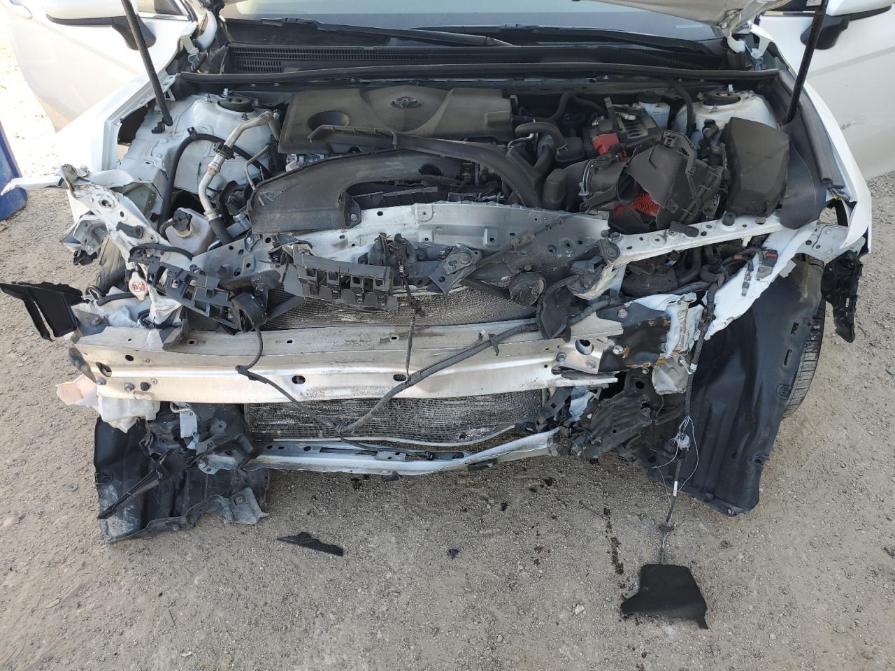 4T1B11HK1KU713921 2019 Toyota Camry L