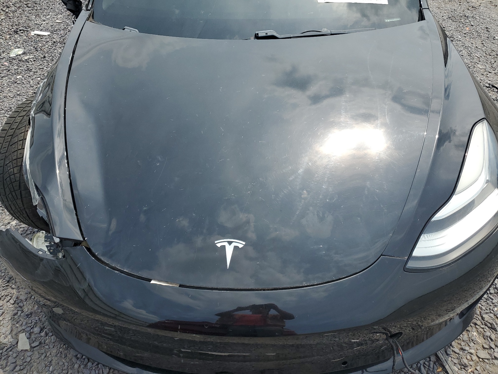 2019 Tesla Model 3 vin: 5YJ3E1EA5KF323518