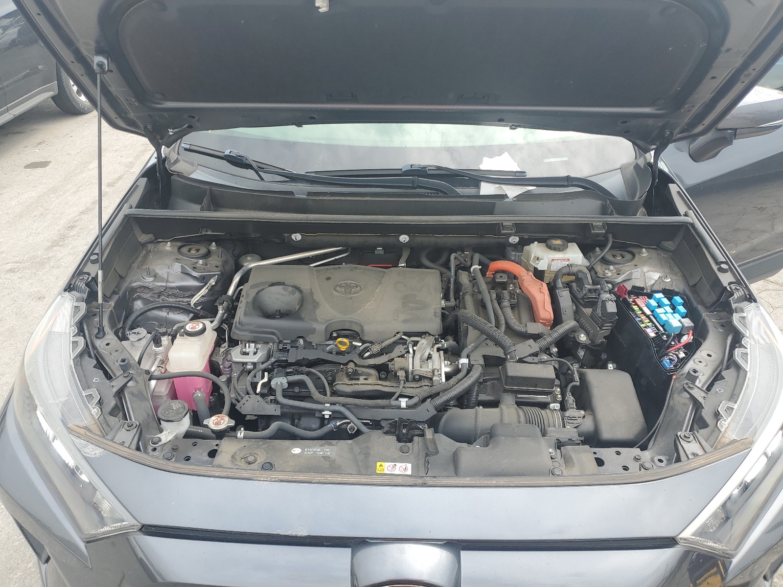 JTMMWRFV4KD501184 2019 Toyota Rav4 Le