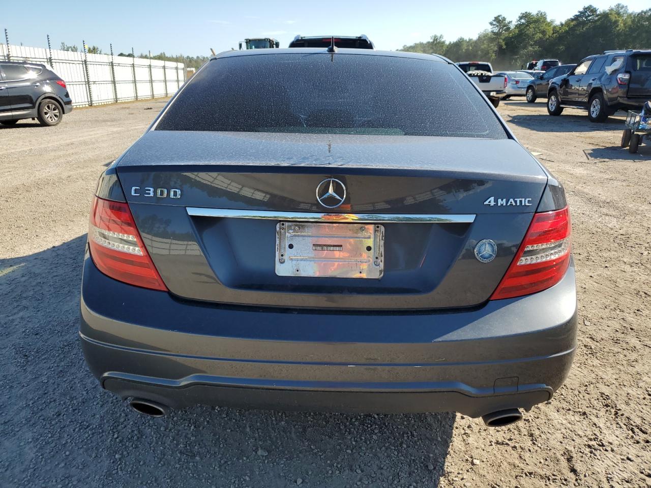 2013 Mercedes-Benz C 300 4Matic VIN: WDDGF8AB5DR253625 Lot: 63981454