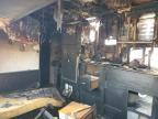 2015 Foresriver Wildwood X продається в Cahokia Heights, IL - Burn - Interior