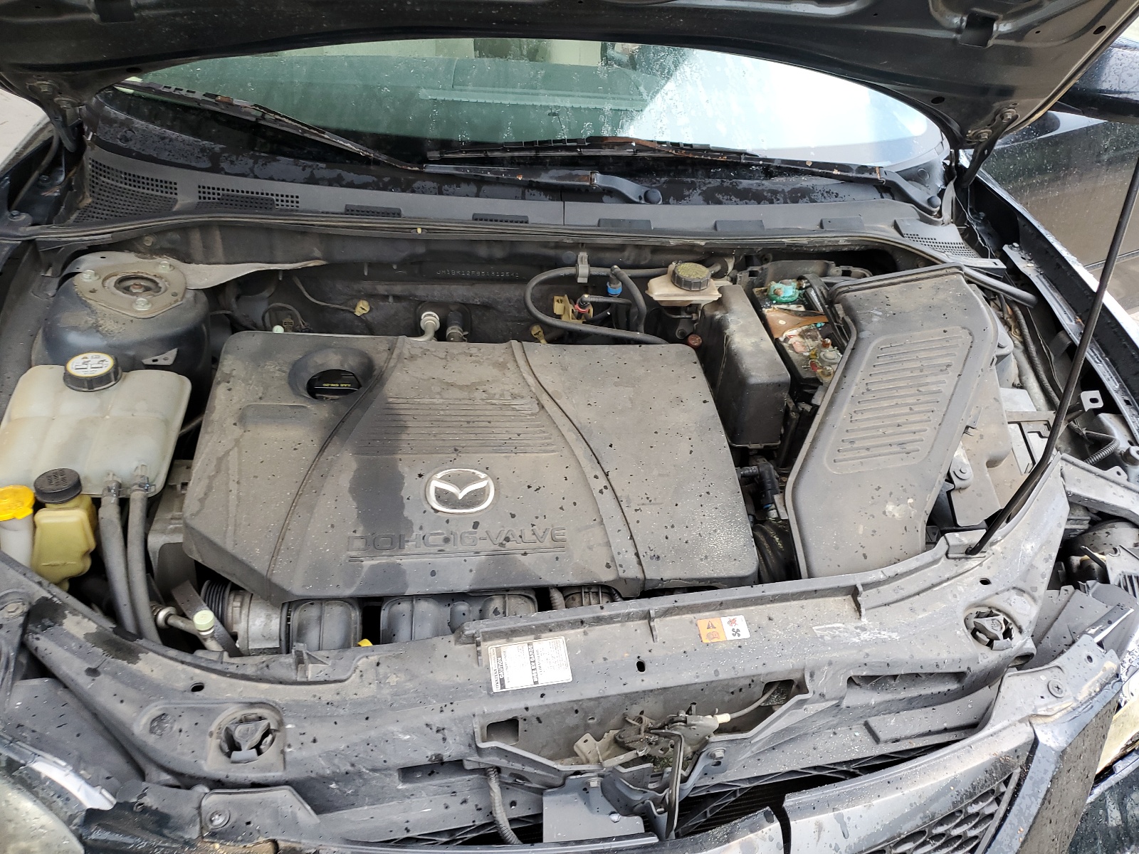 JM1BK12F951312541 2005 Mazda 3 I