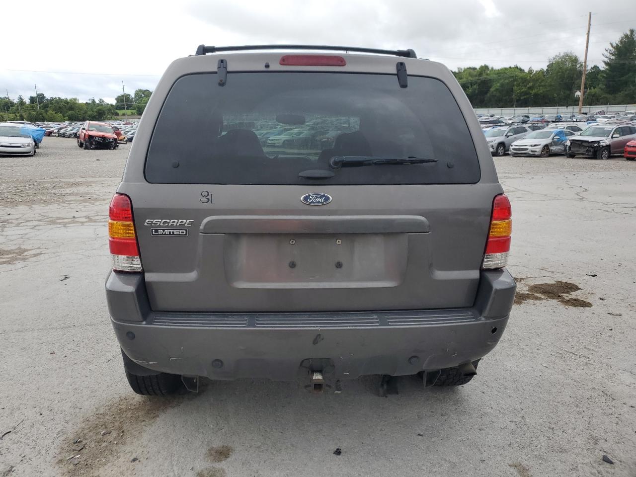 2004 Ford Escape Limited VIN: 1FMCU94194KB63731 Lot: 62451844