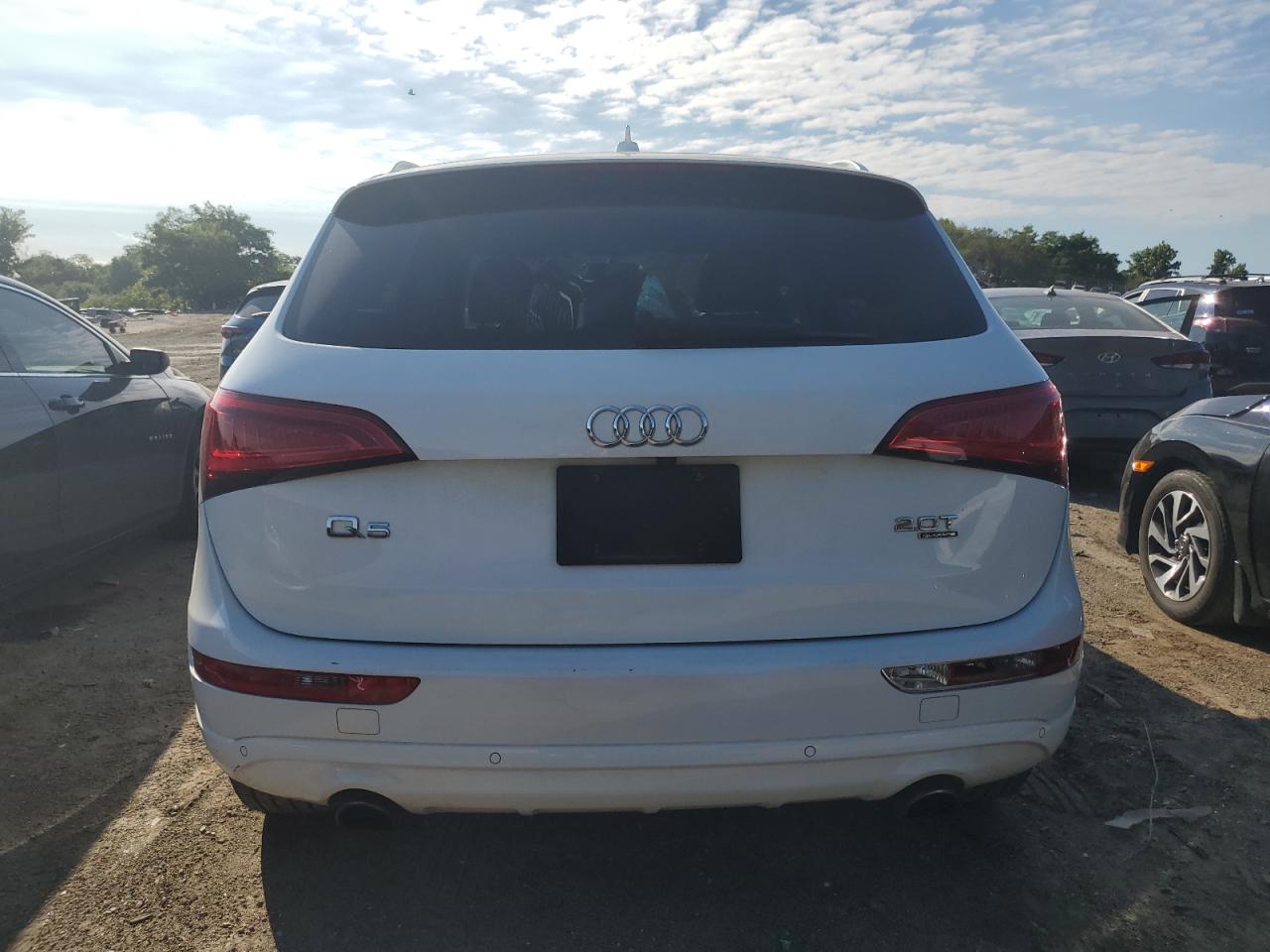 2013 Audi Q5 Premium Plus VIN: WA1LFAFP0DA031457 Lot: 61056384