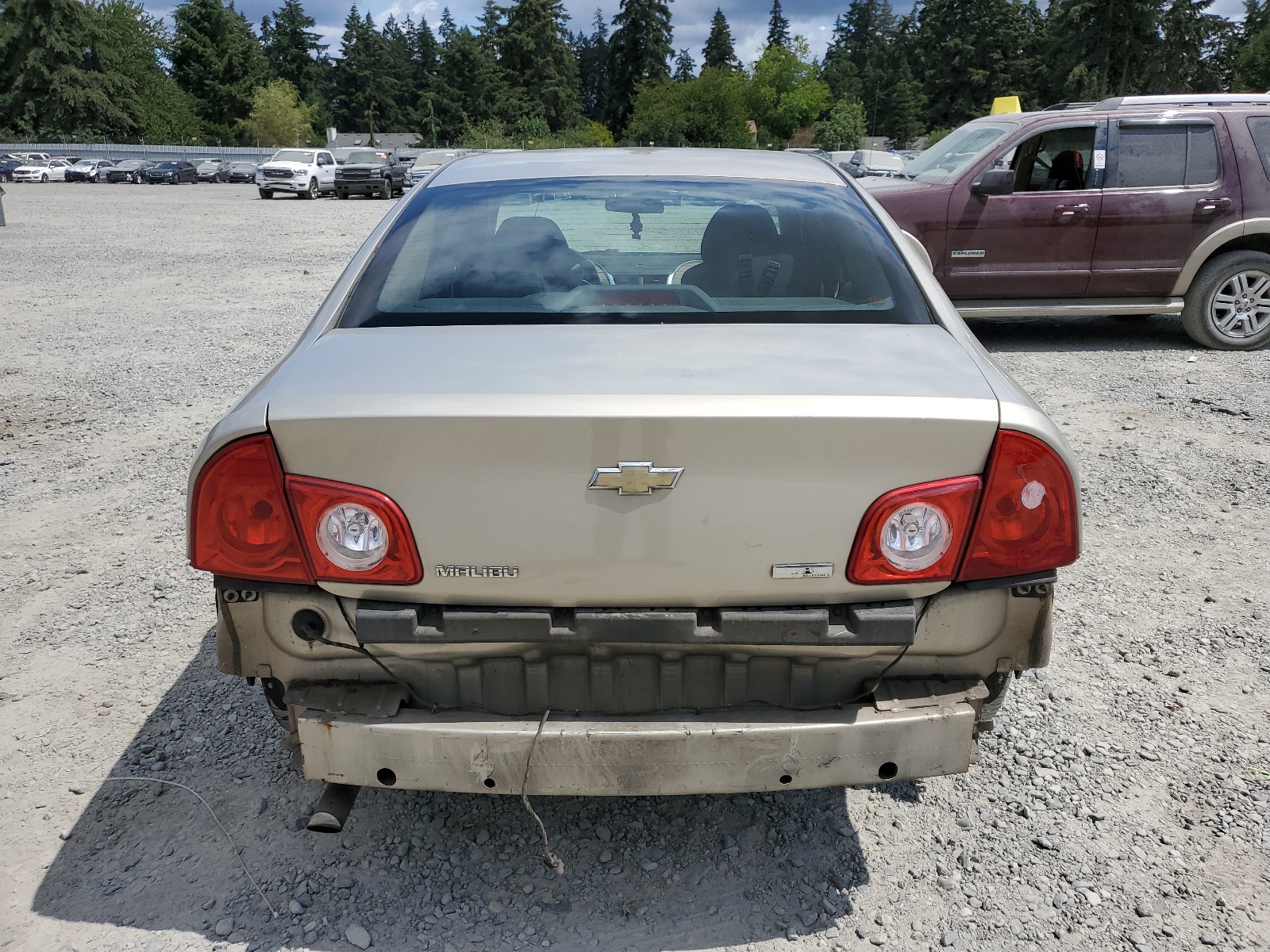 1G1ZA5E05AF289877 2010 Chevrolet Malibu Ls