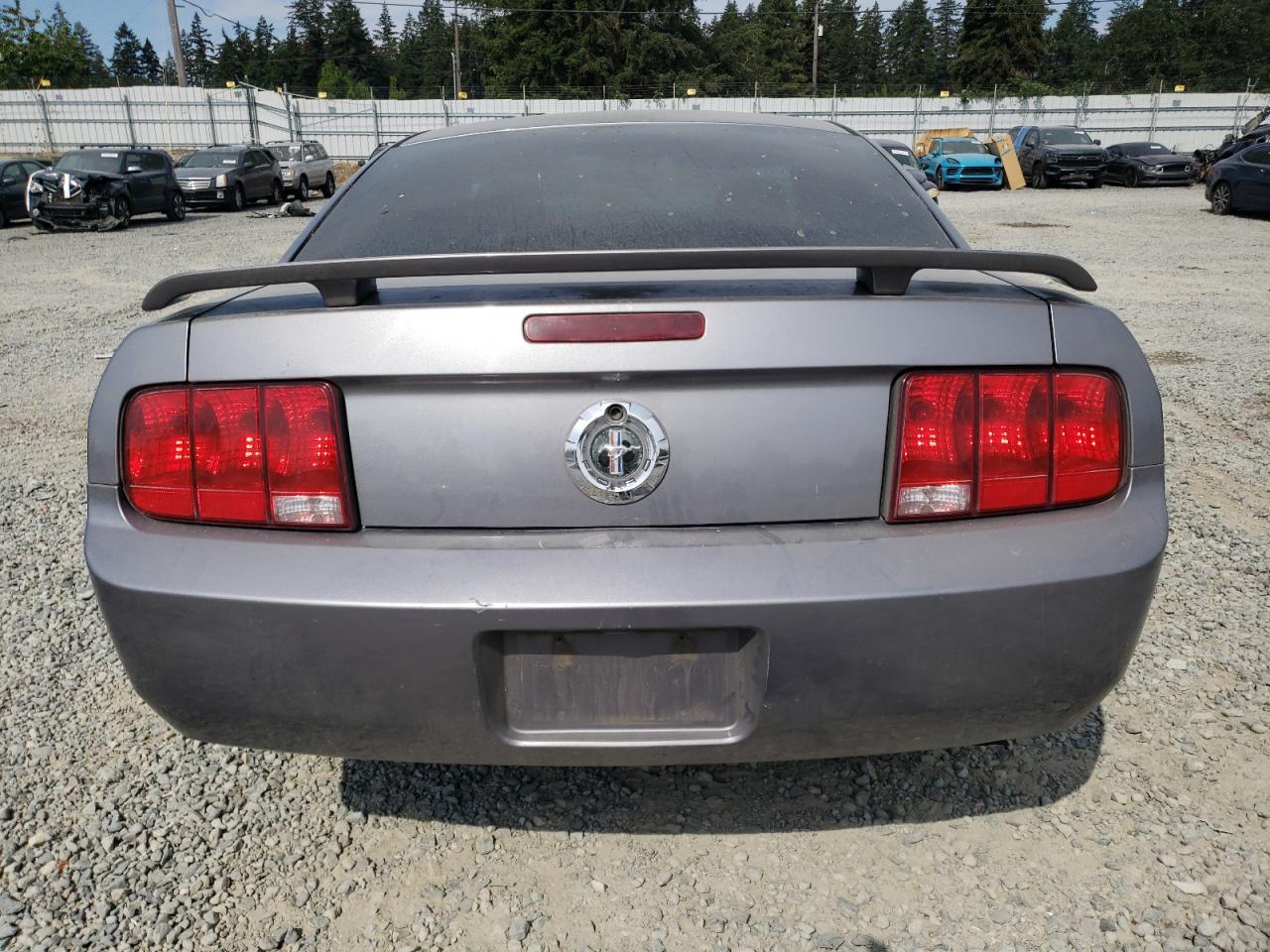 2006 Ford Mustang VIN: 1ZVFT80N865200581 Lot: 63222094