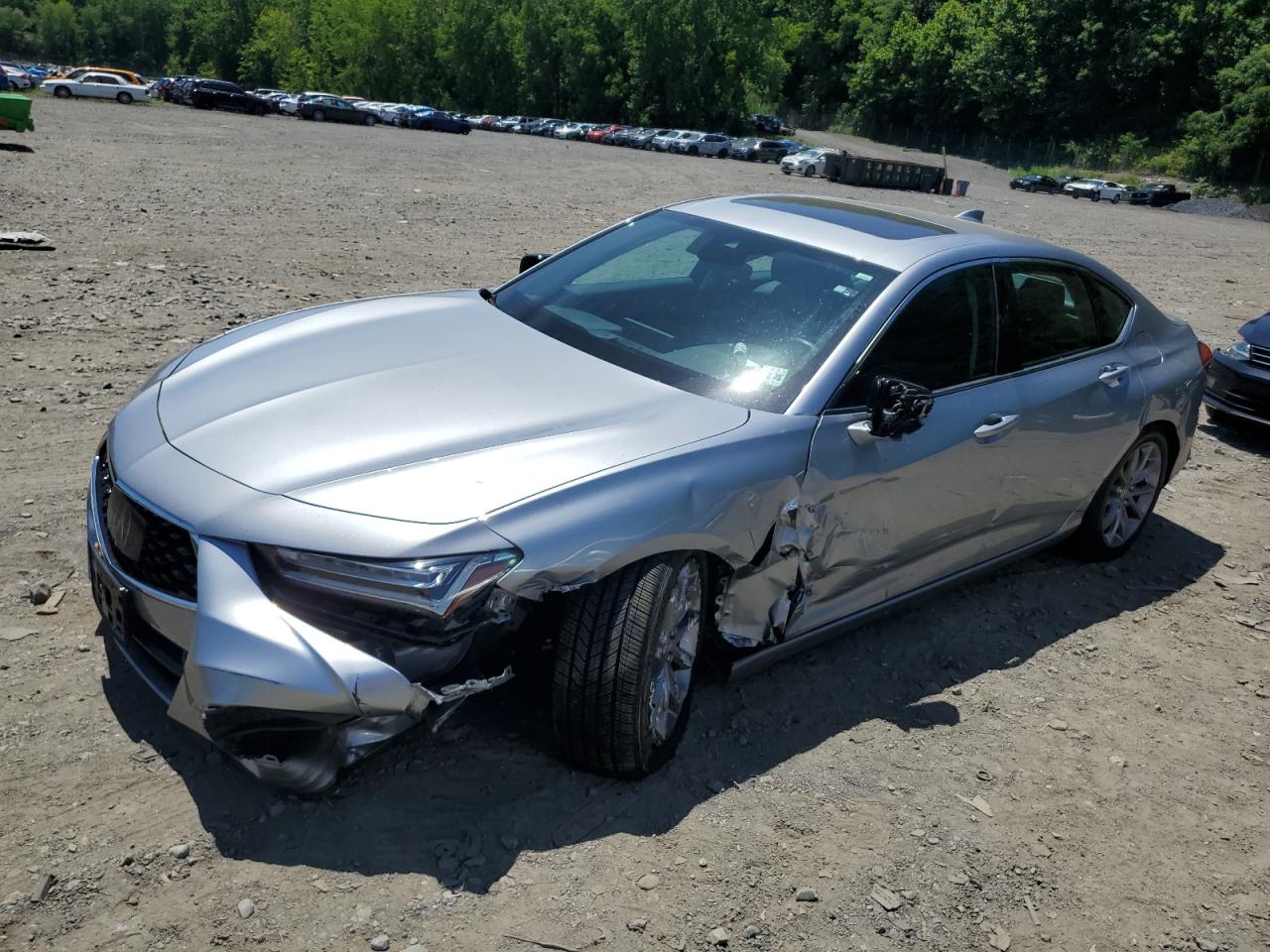 19UUB5F36MA003187 Acura TLX 