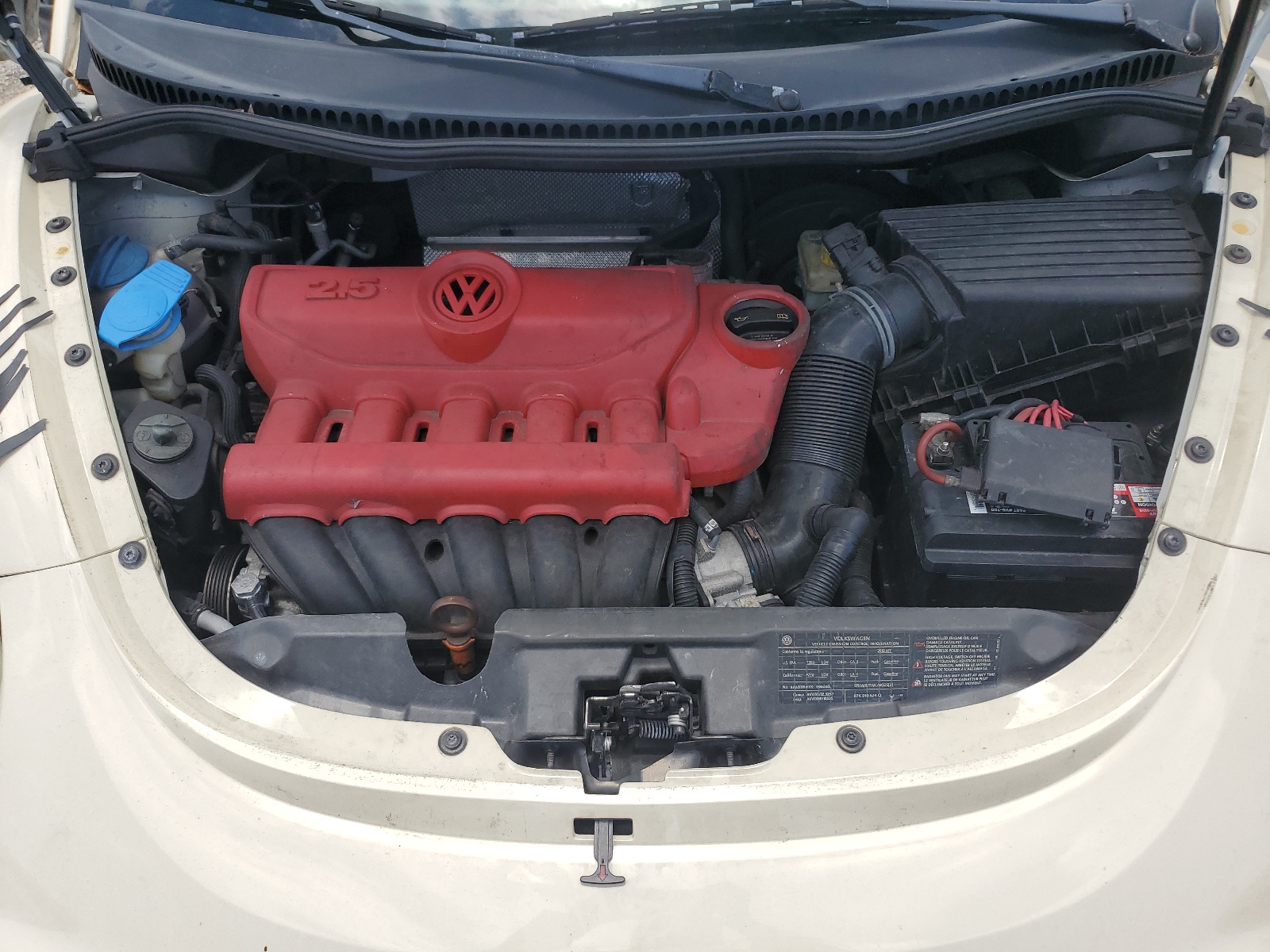 3VWRG3AL2AM004978 2010 Volkswagen New Beetle