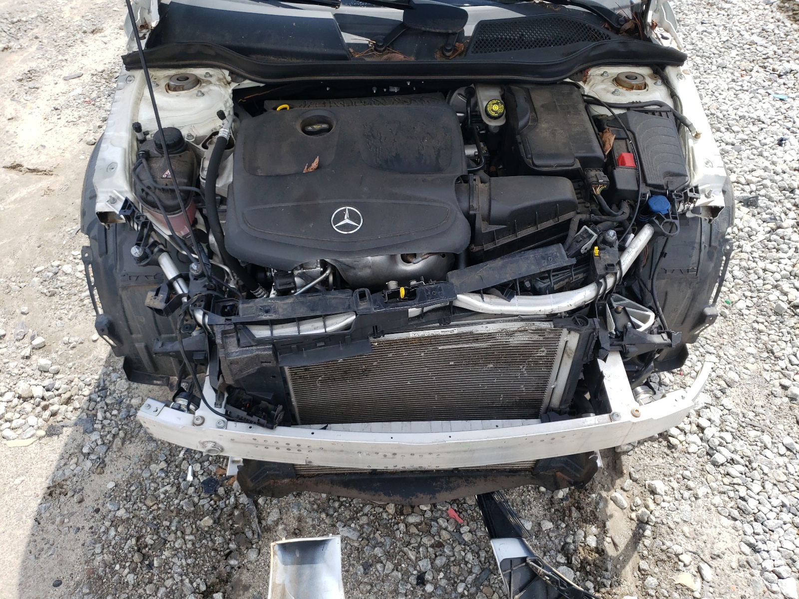 WDDSJ4EB8KN762561 2019 Mercedes-Benz Cla 250