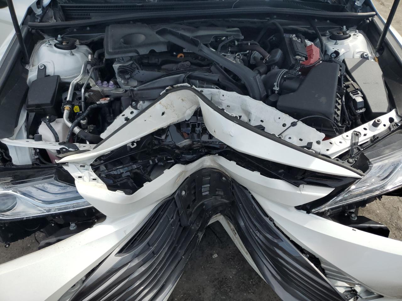 4T1B11HK7KU818978 2019 Toyota Camry L