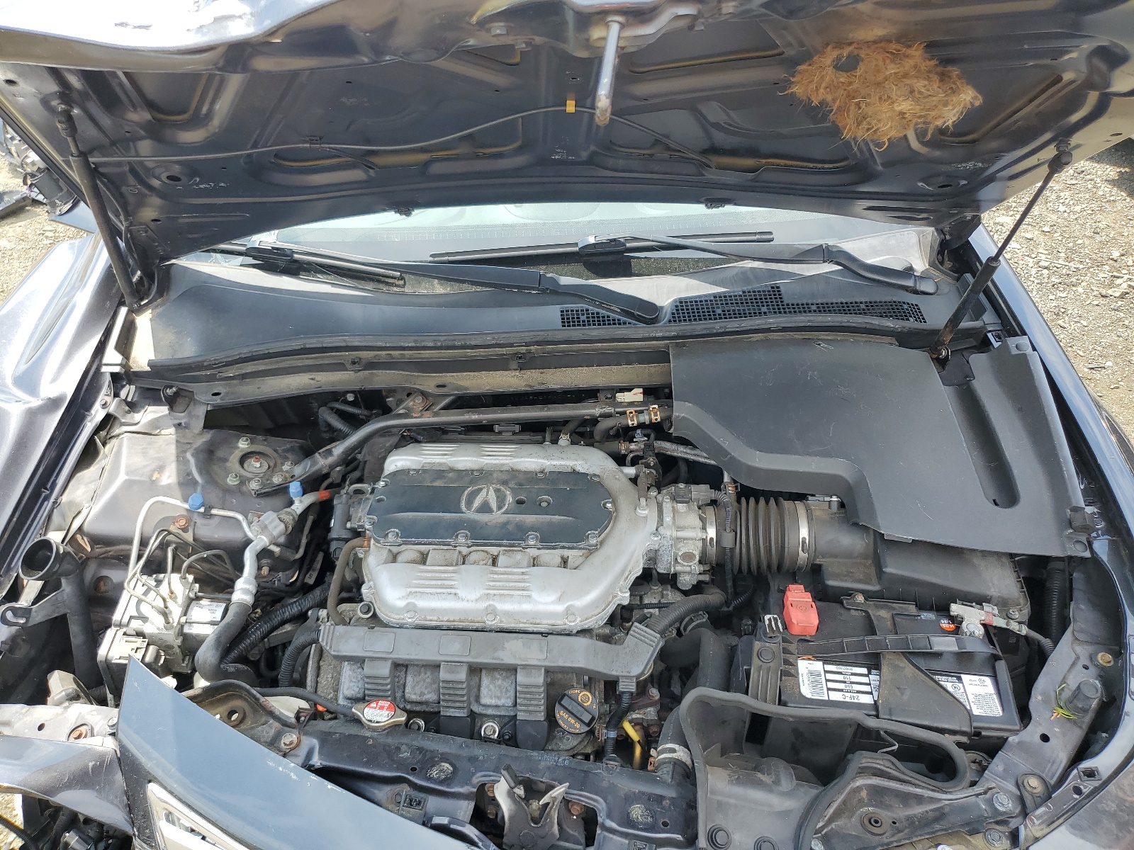 19UUA8F21CA015919 2012 Acura Tl