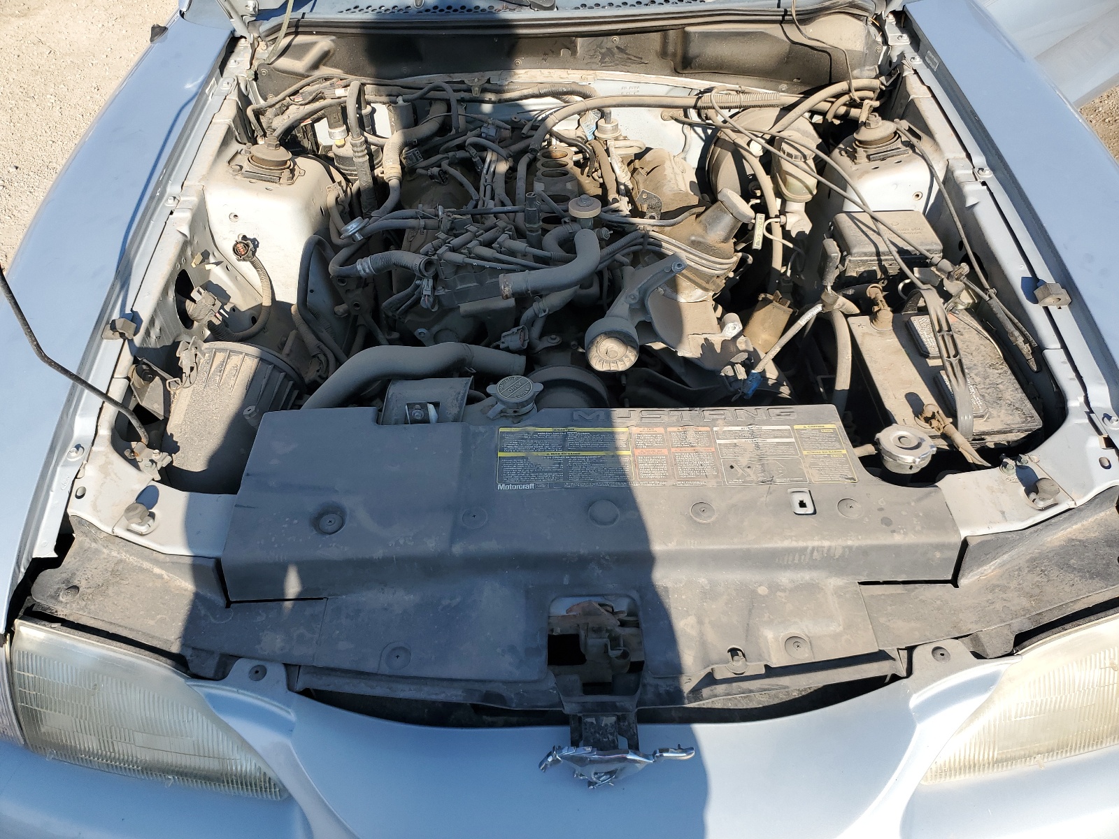 1FALP4442RF200309 1994 Ford Mustang